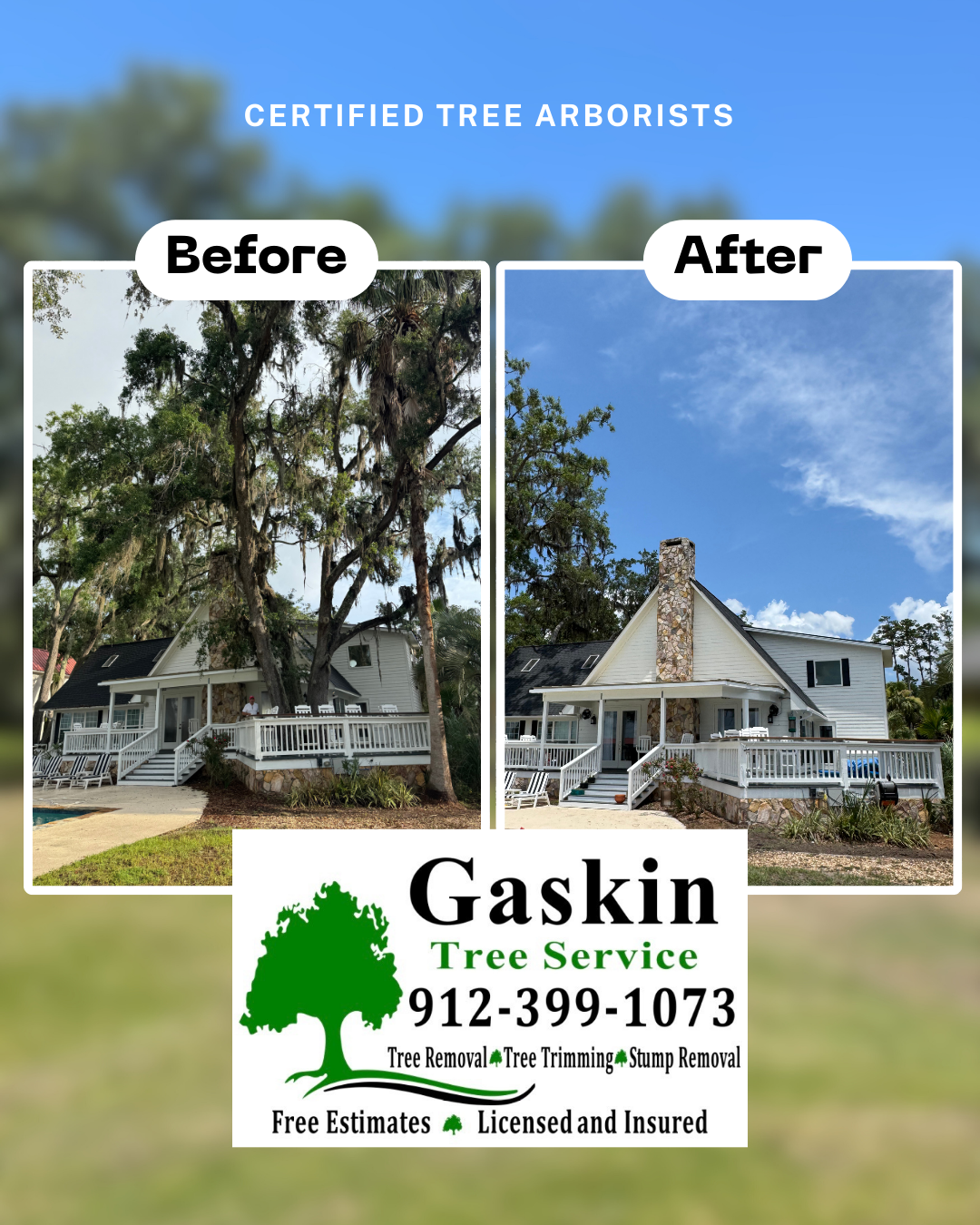 Tree Removal or Cleanup Near you