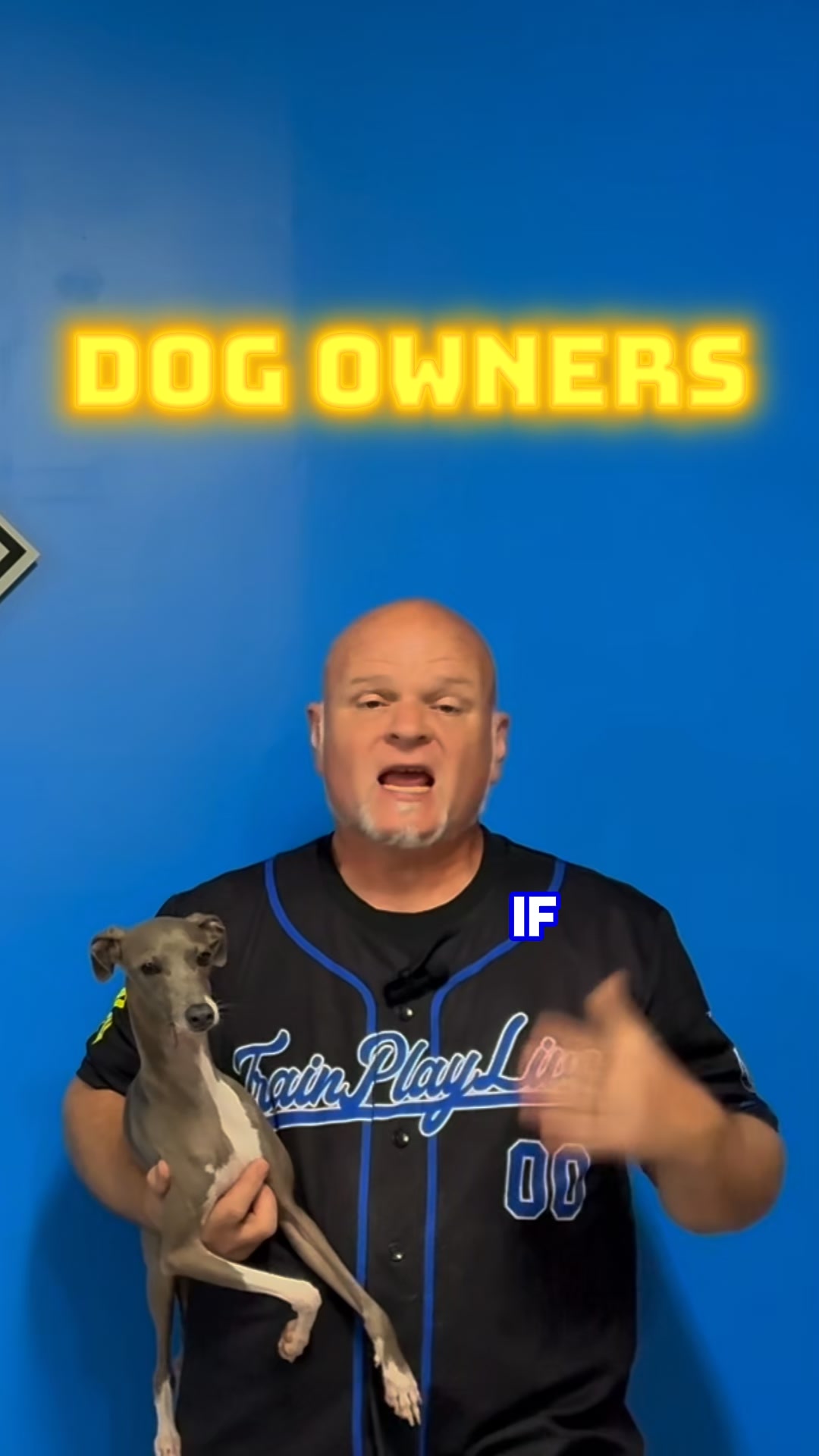 Dog Owners Don't Miss Out!