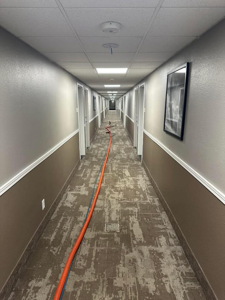 Casper Carpet Cleaners Carpet Cleaning ad creative