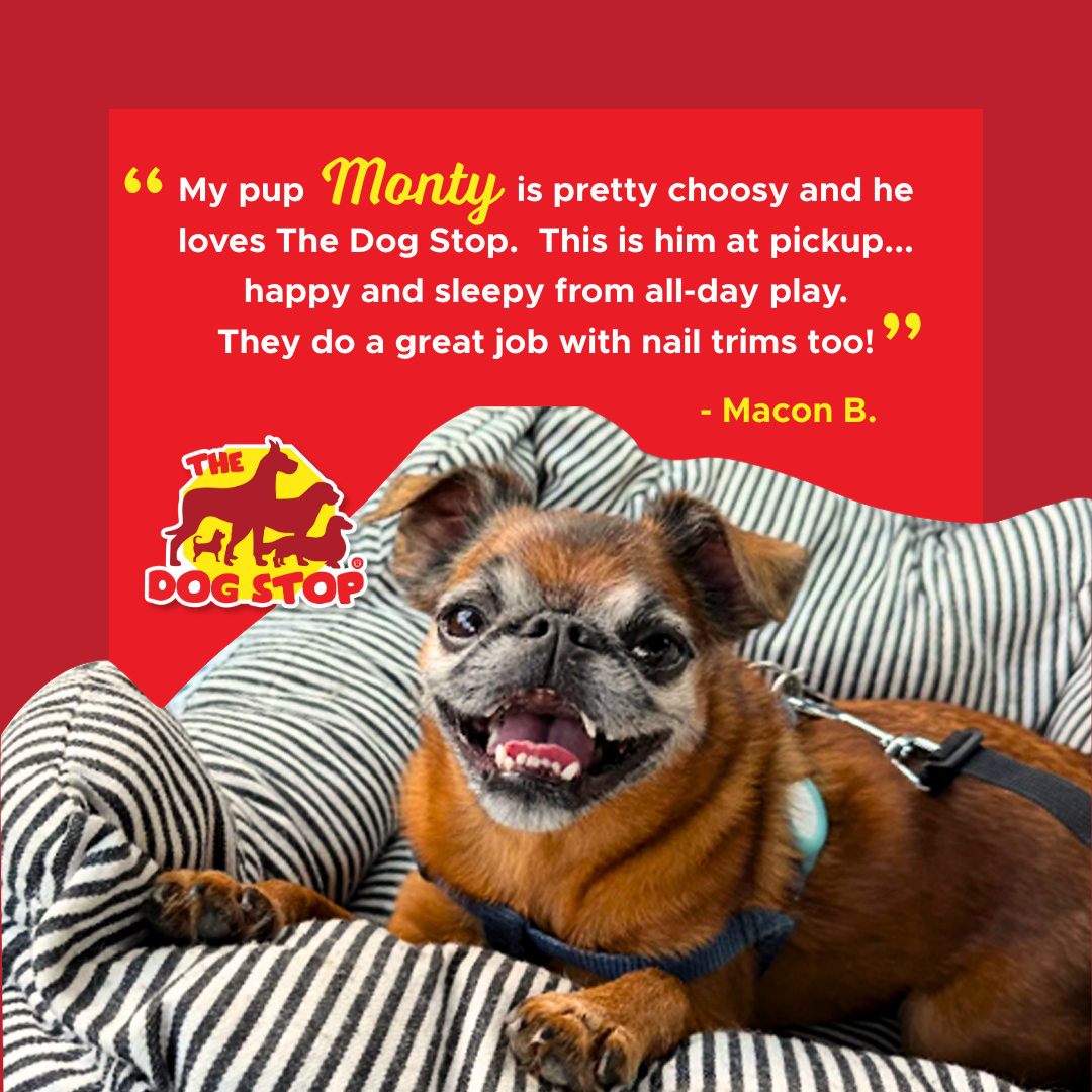 Real Fun. Real Reviews. First Day Free!