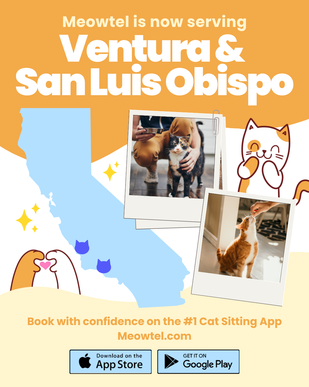 Find a loving cat sitter now