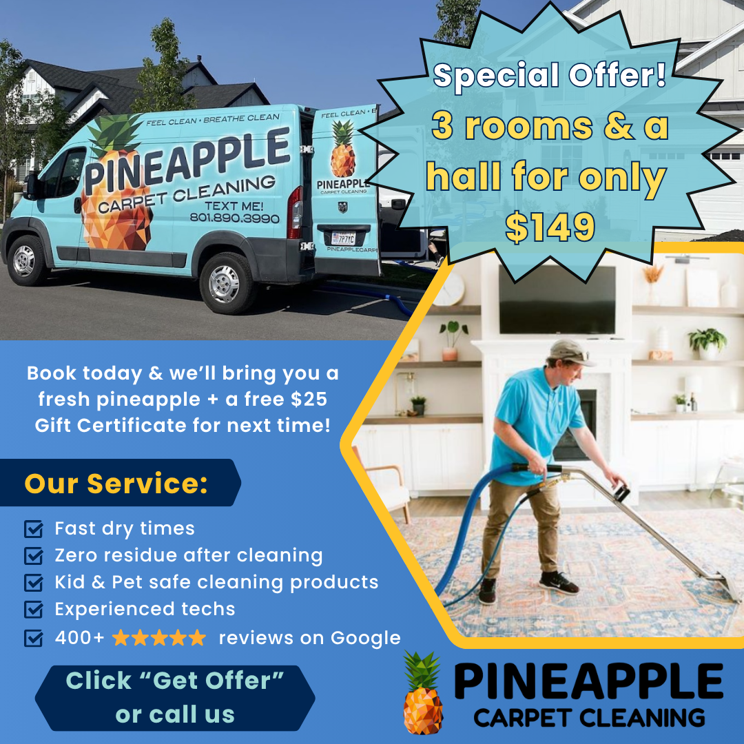 Carpet Cleaning: 3 rooms & a hallway, just $149