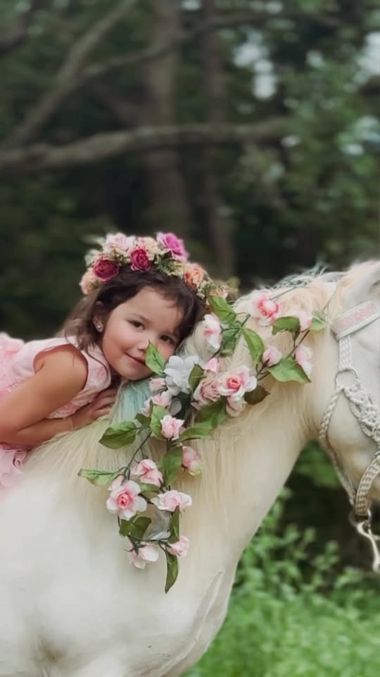 Wild Artistry Photography & Event Rentals Photographer ad creative