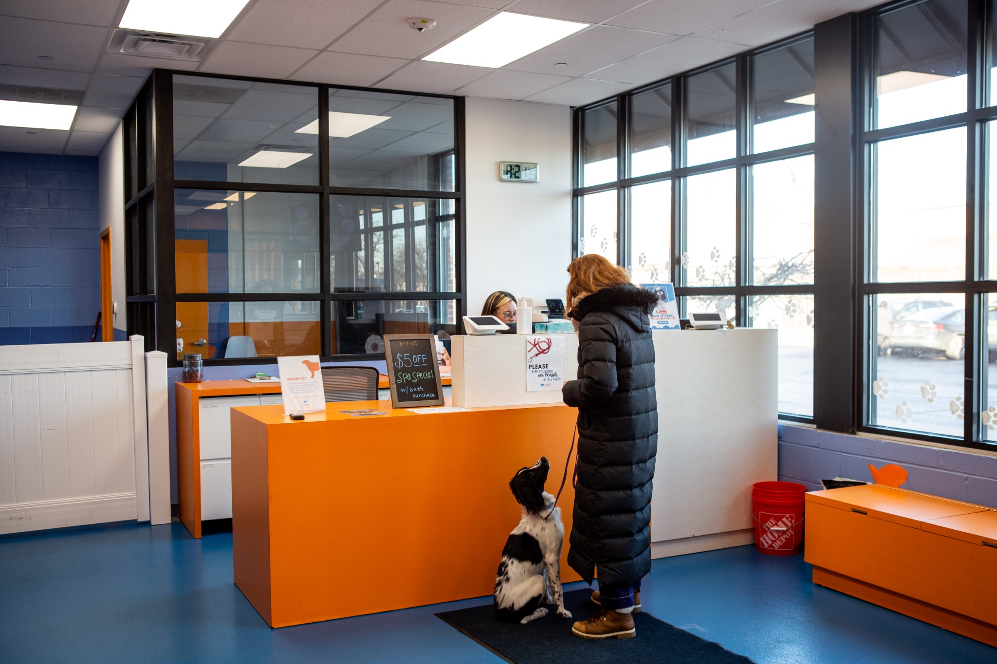 Canine To Five Midtown Detroit Pet Boarding ad creative