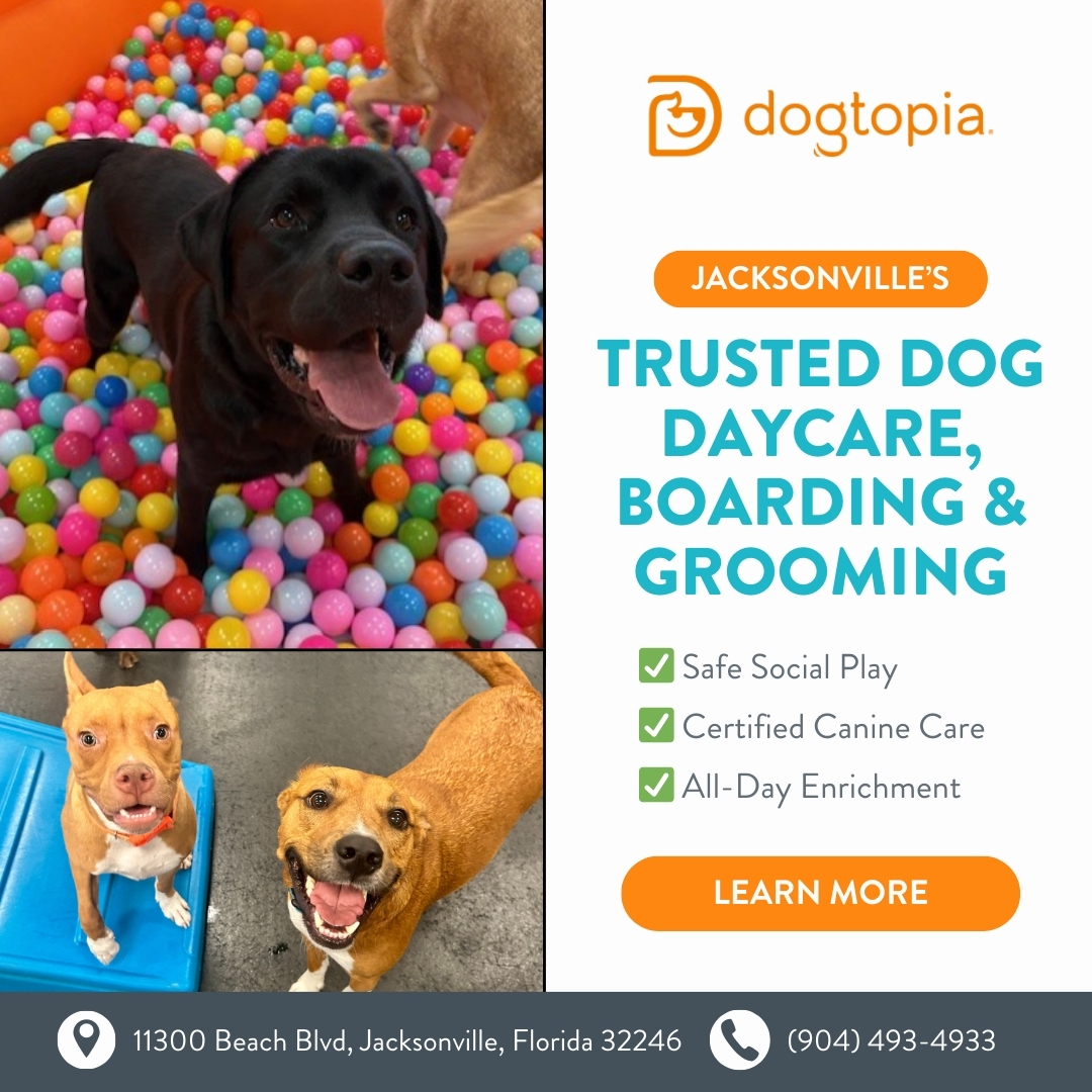 Today’s Pet Care Pick: Dogtopia Jacksonville