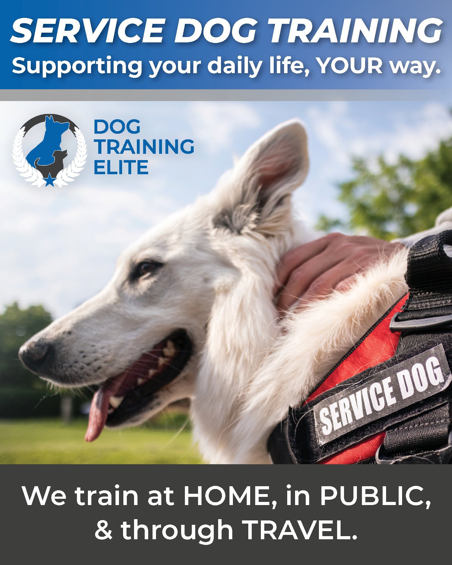 Service Dog Training – Supporting Your Daily Life, Your Way.