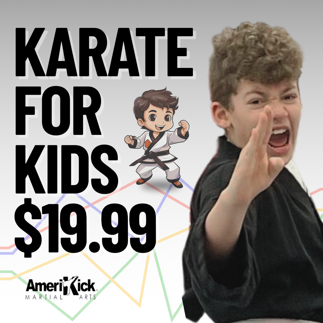 AmeriKick Queens Martial Arts ad creative