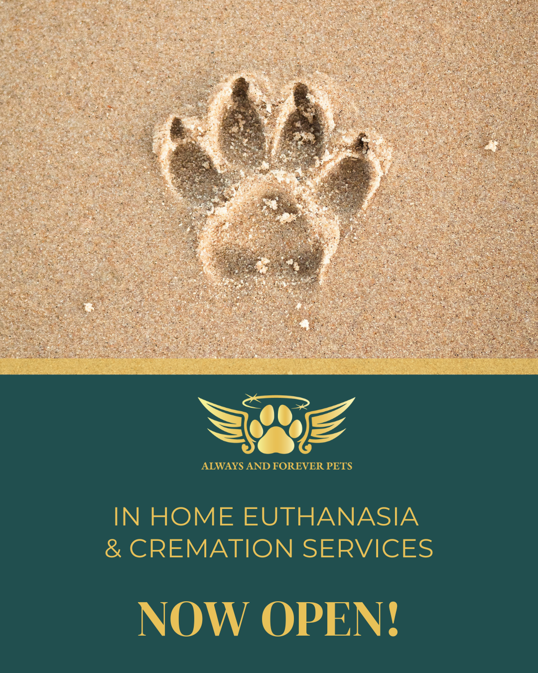 Servicing New Braunfels & surrounding cities