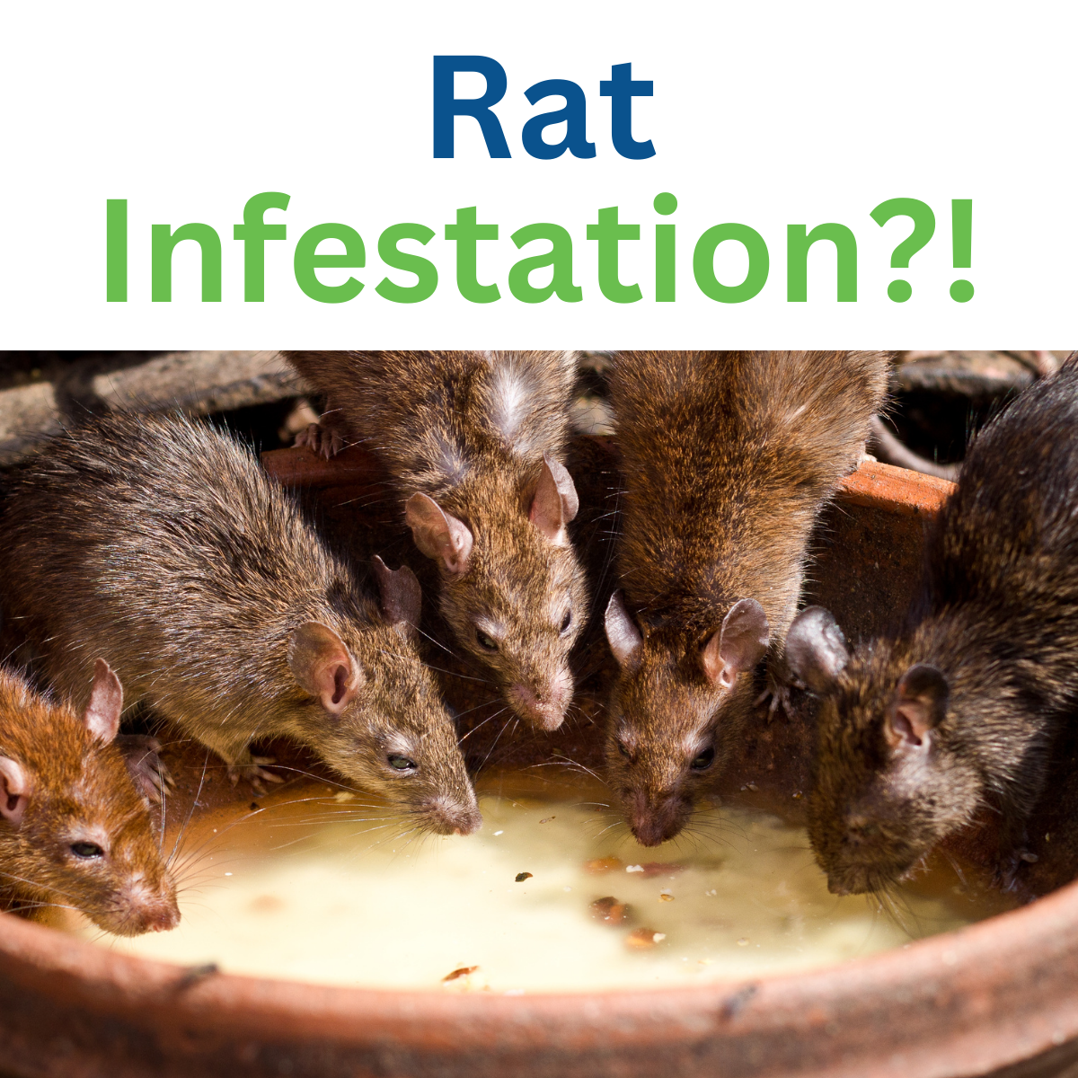 Your Pest Control and Yard Pros!📞