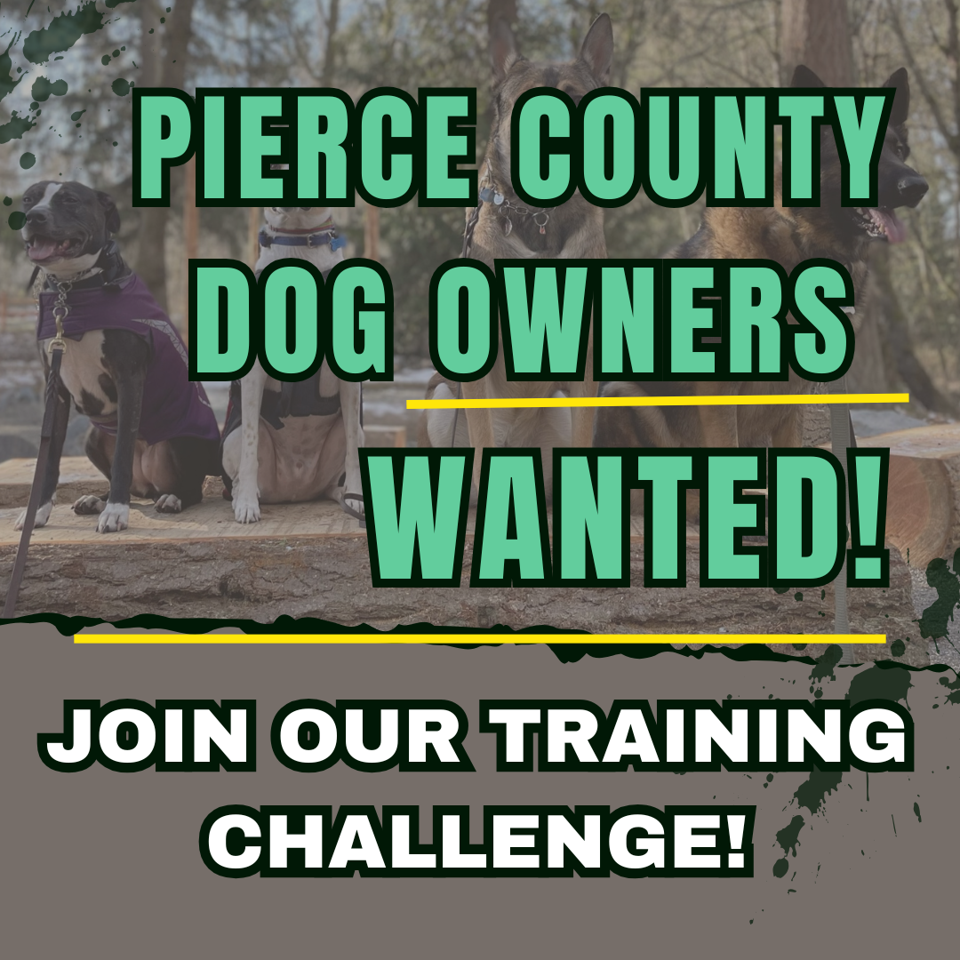 Unleash a Well-Behaved Dog