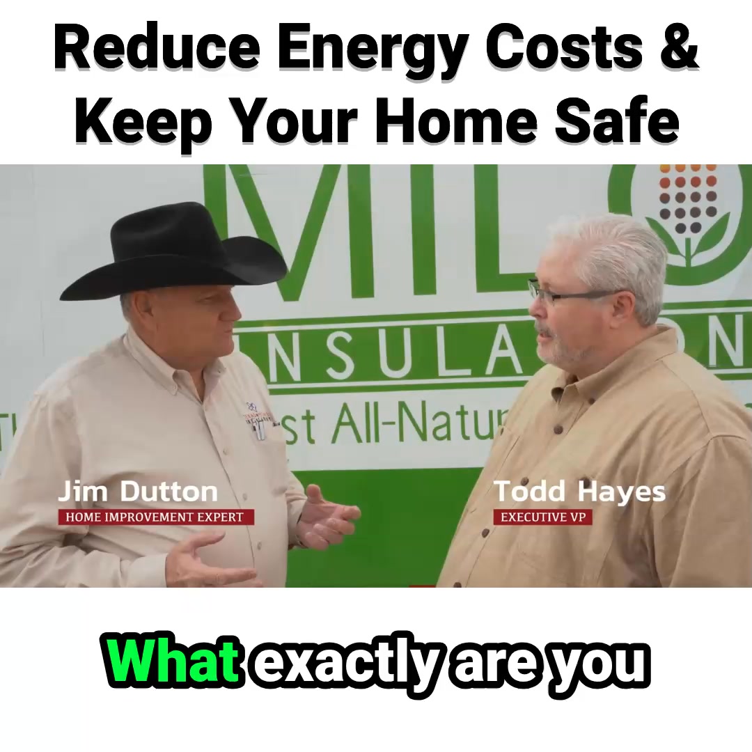 The Health Benefits of an Allergen-Free Home