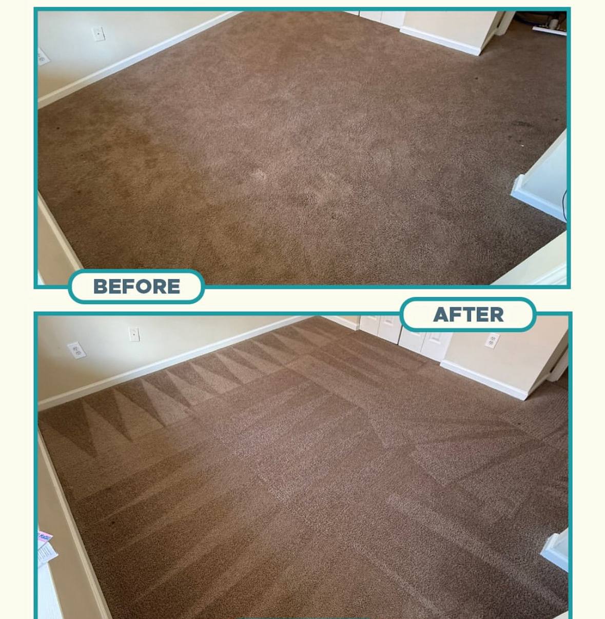 Clean your carpet today!