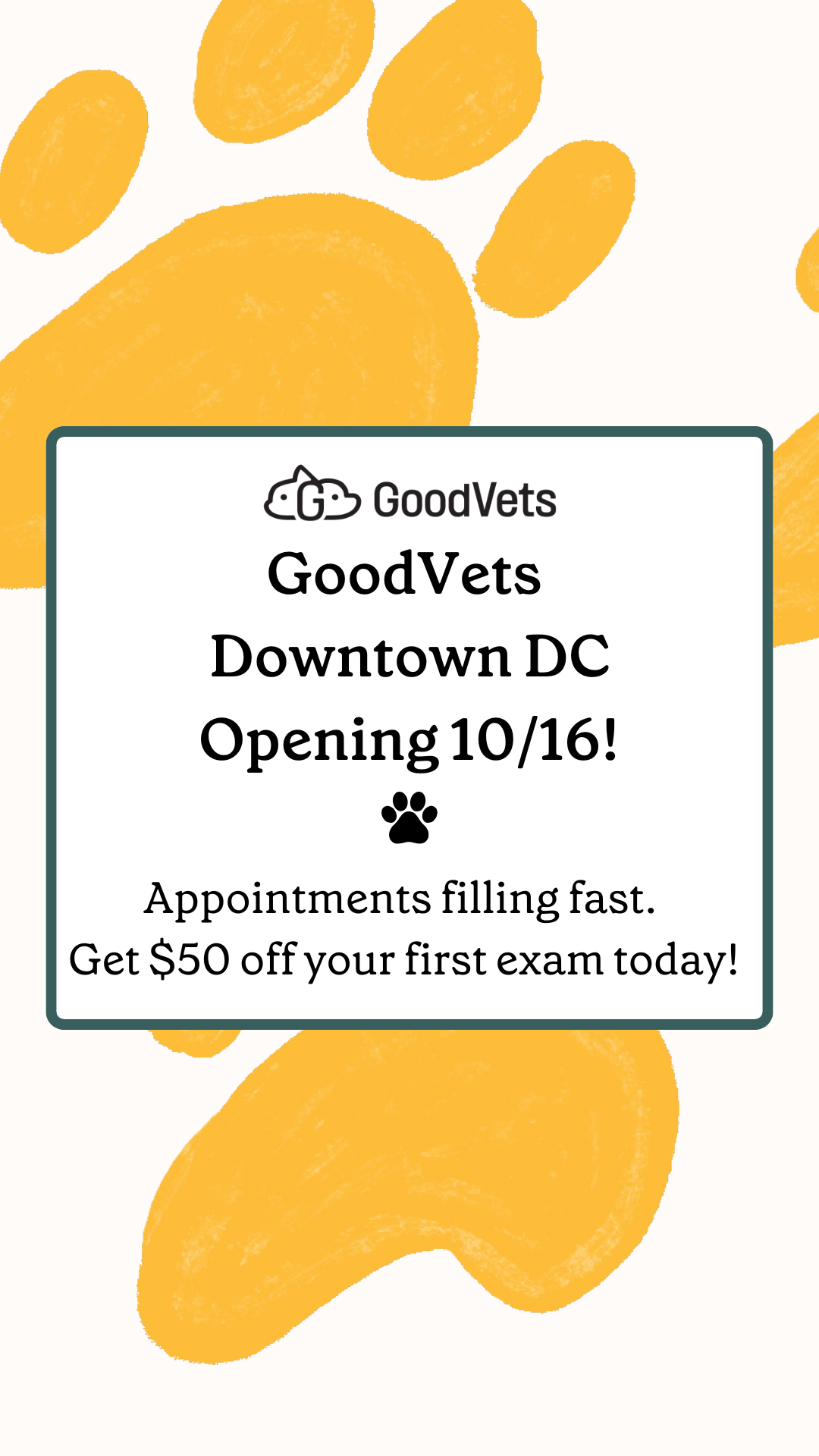 Grand Opening 10/16  🎉