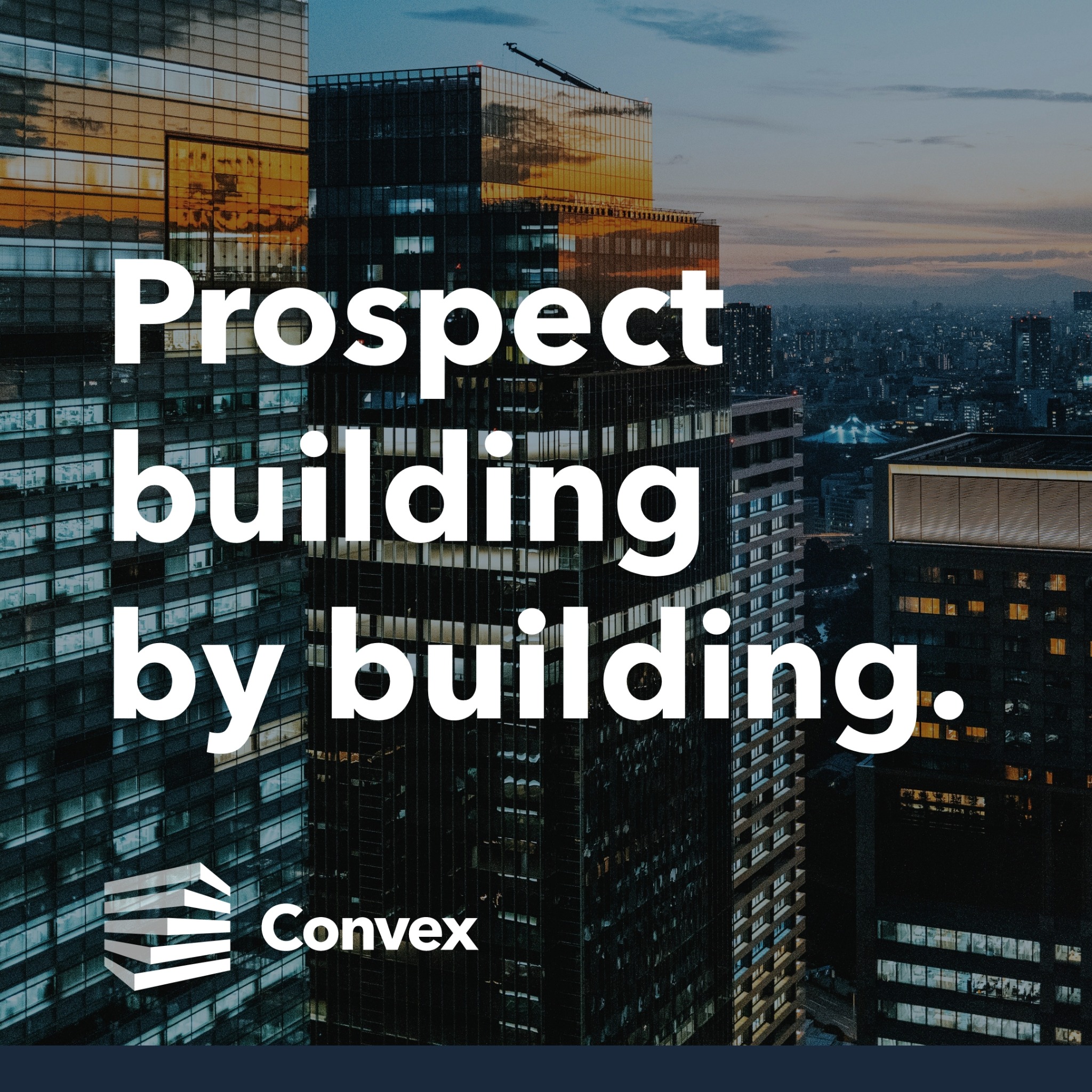 Convex Labs Software Dev Services ad creative