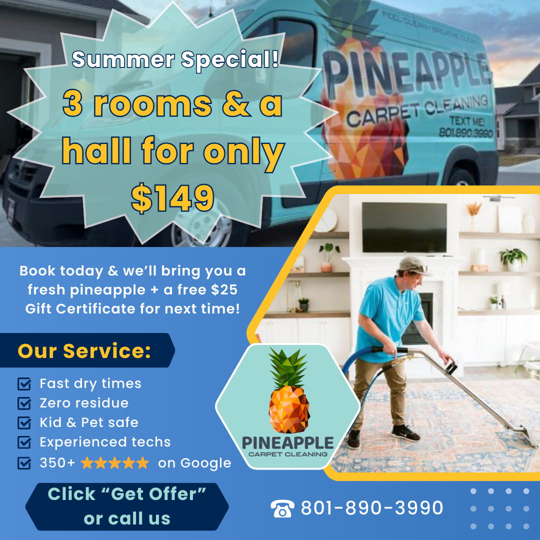 Carpet Cleaning: 3 rooms & a hallway, just $149