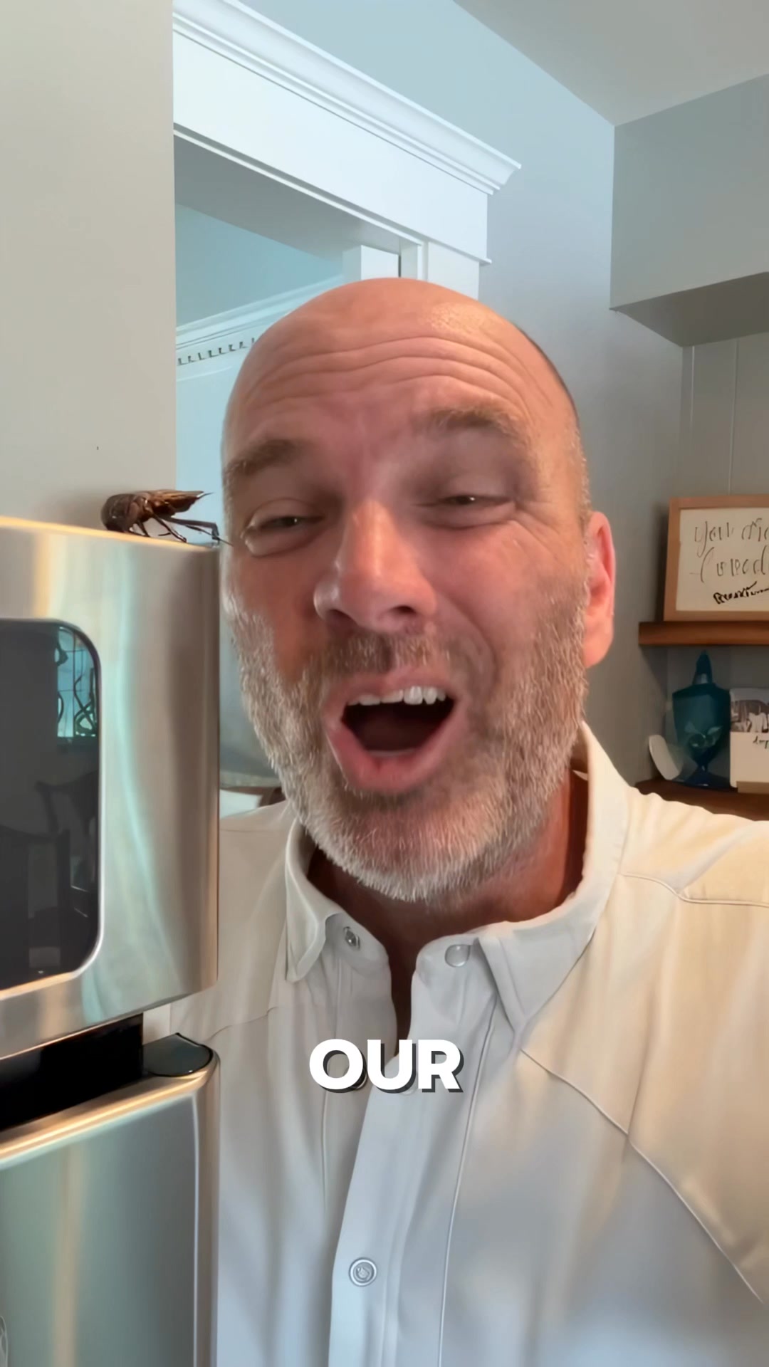 Sniper Termite and Pest Control LLC Pest Control ad creative