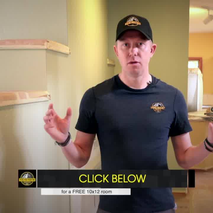 Peak Pro Painting Painter ad creative