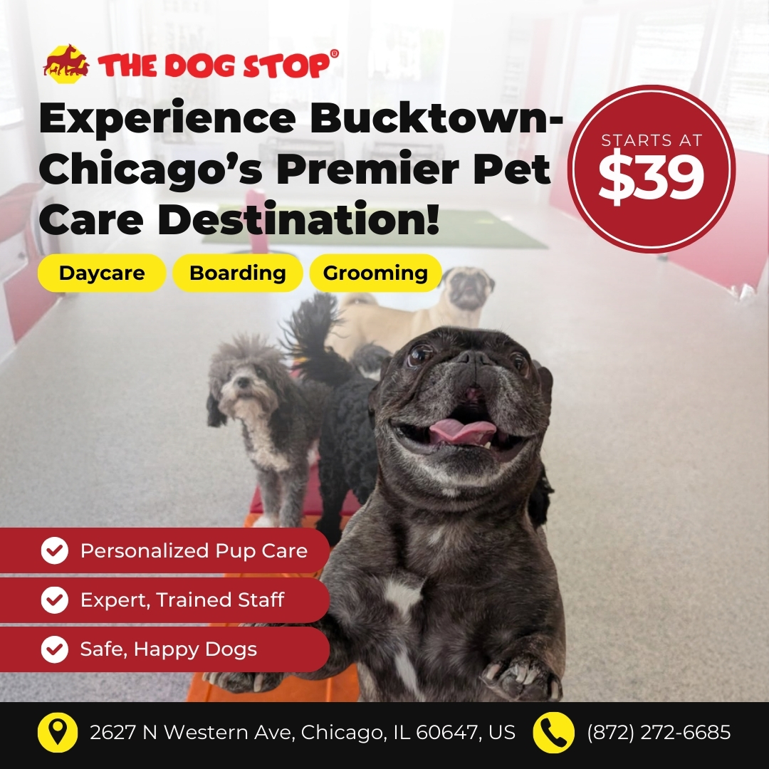 Today’s Pet Care Pick: The Dog Stop Bucktown