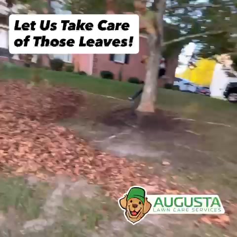 Leaf Cleanup Quote
