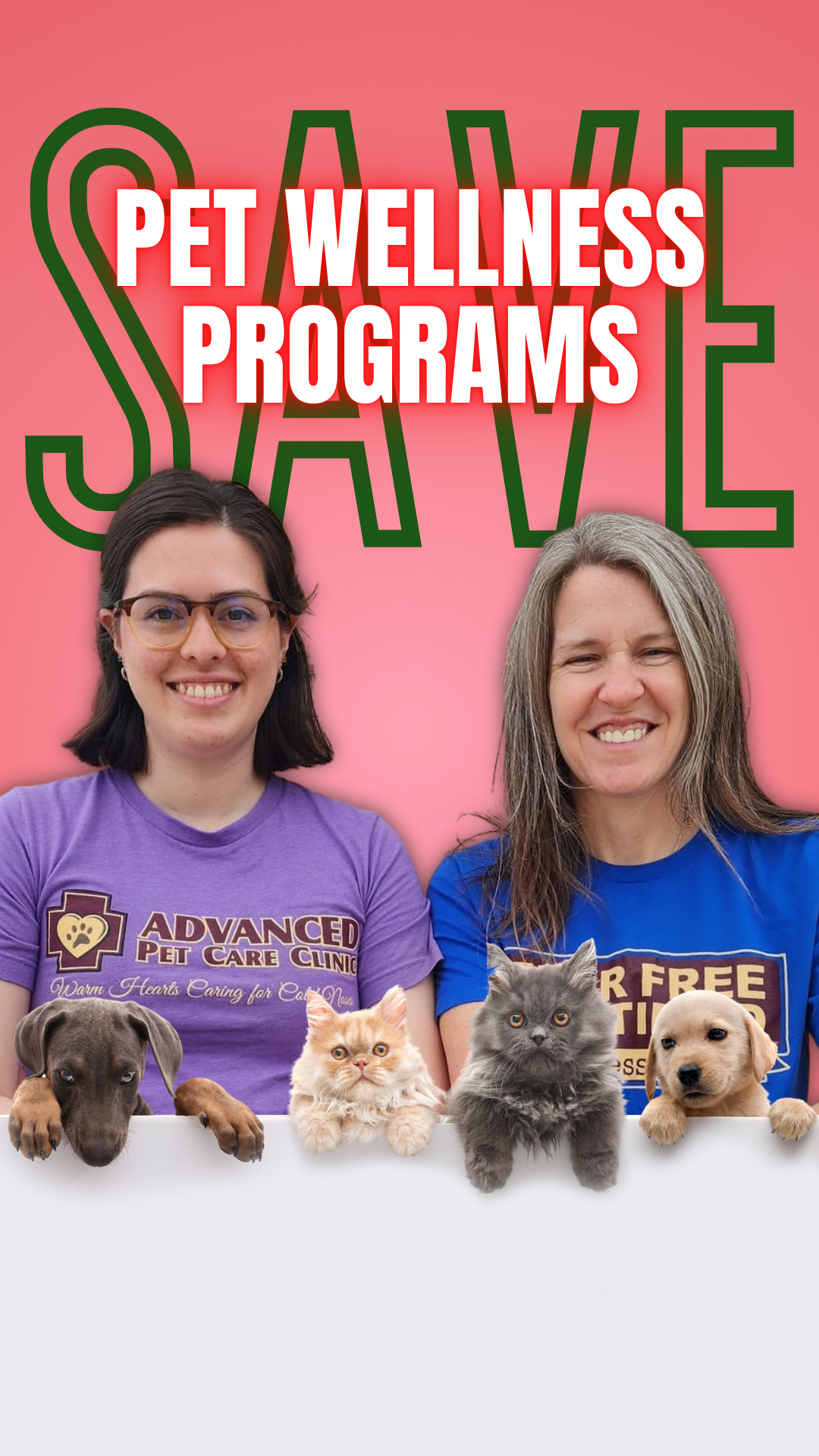 'Tis the Season of Savings!