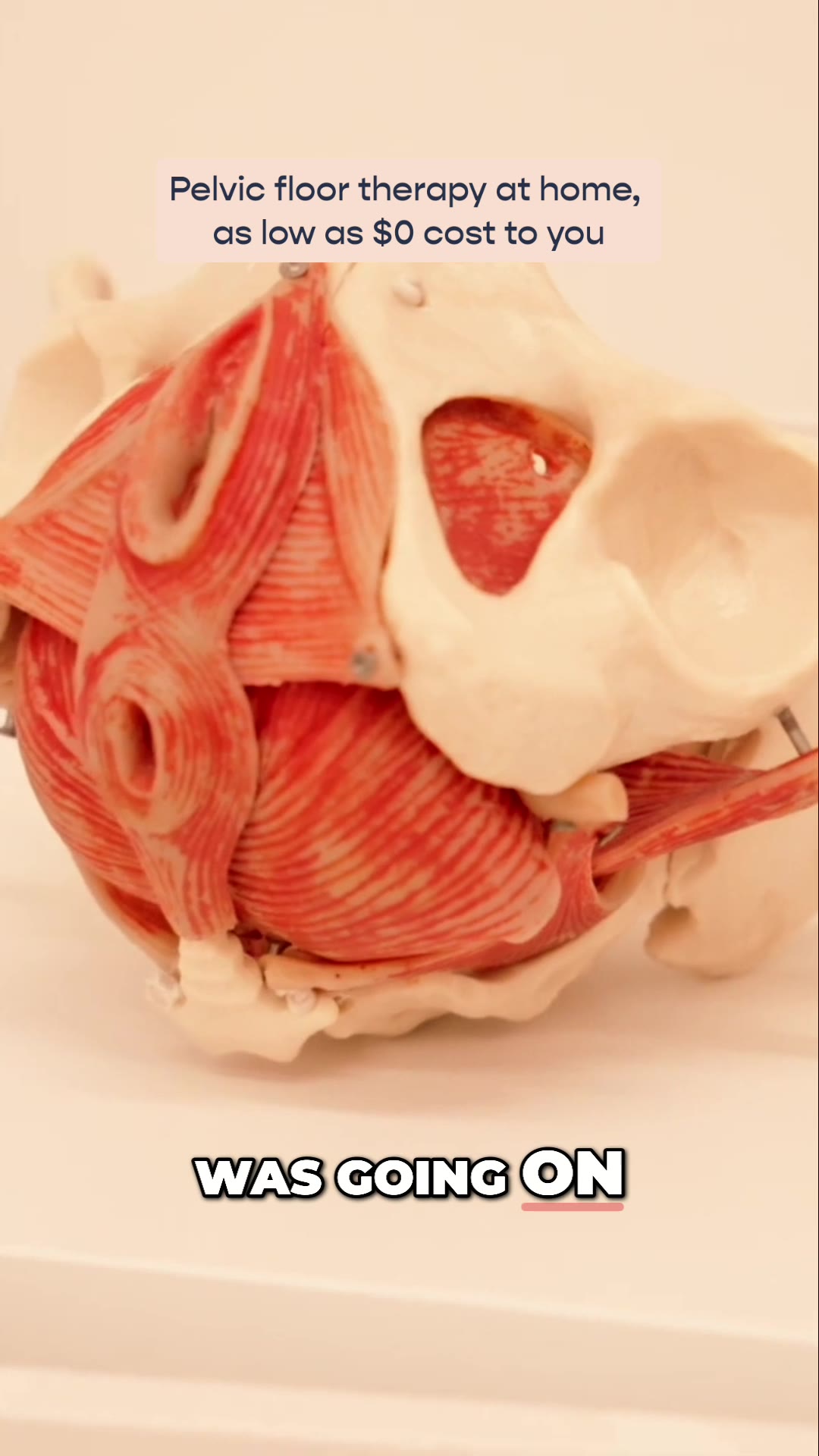 Origin – Physical Therapy for Your Pelvic Floor