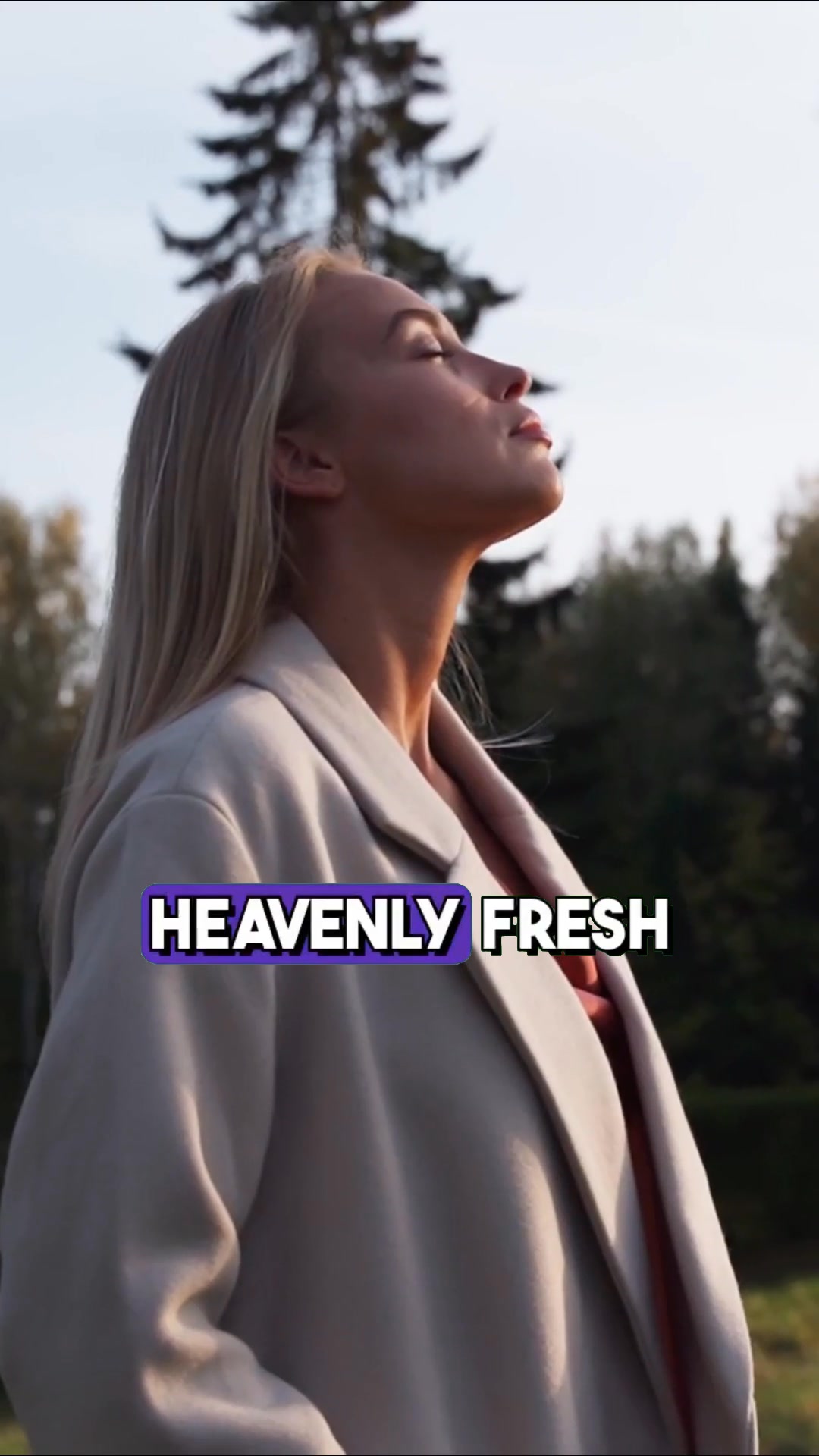 Ventryx Home Services HVAC ad creative