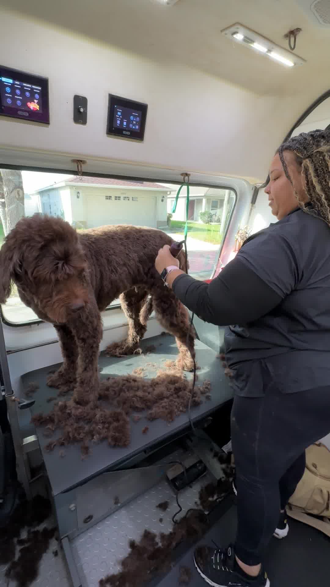 Don't Wait! Book Your Appointment Now!