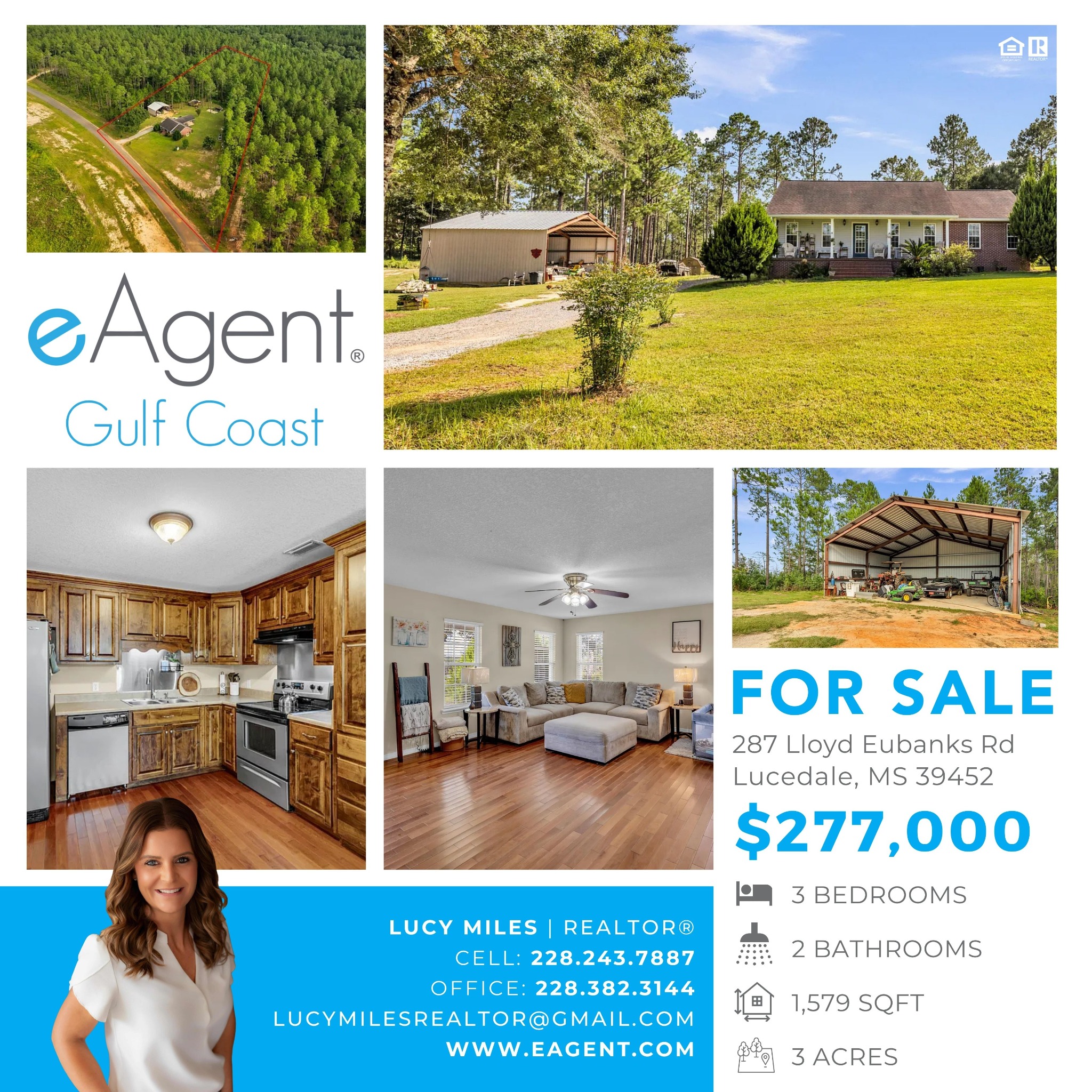 Lucy Miles Realtor Real Estate Agent ad creative