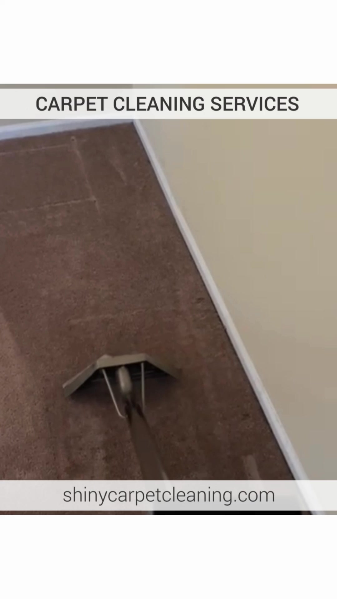 Discover the power of expert carpet cleaning!