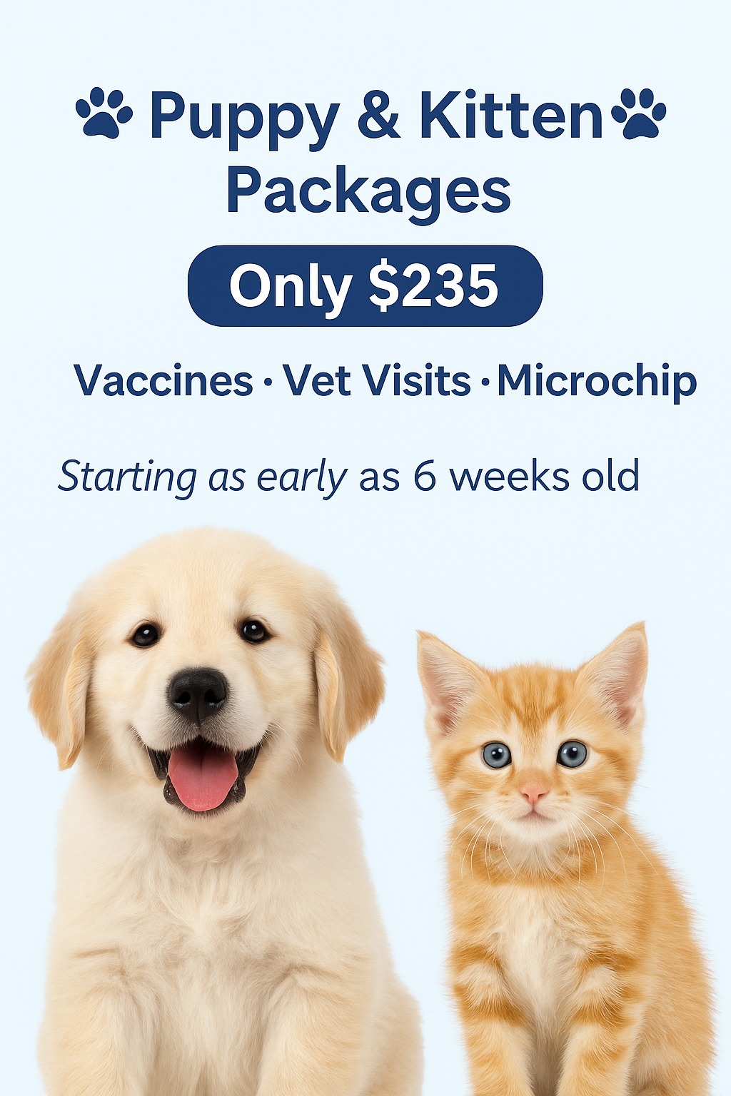 American Pet Clinic
