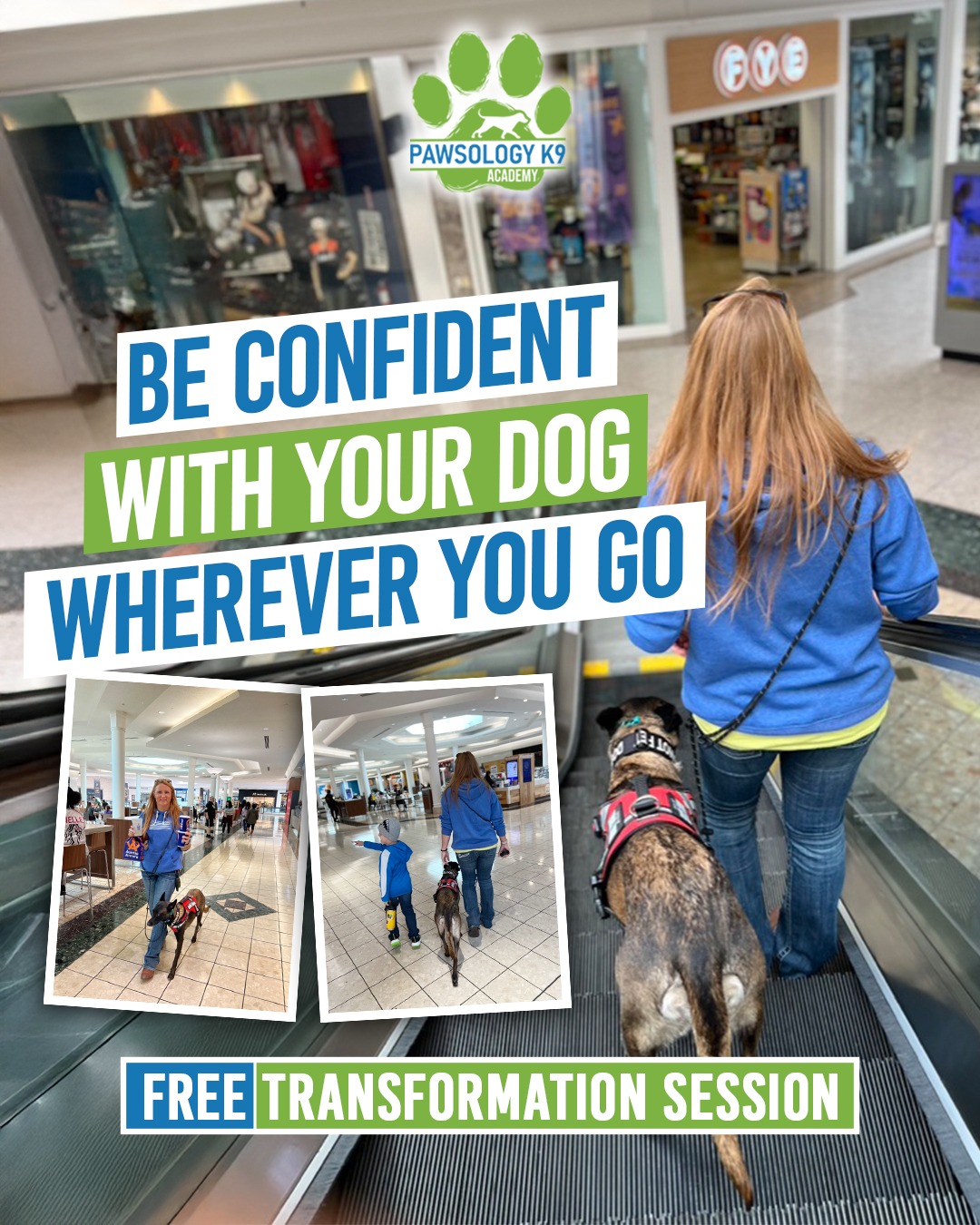 Out of Control Dog? We're Here to Help! 💯