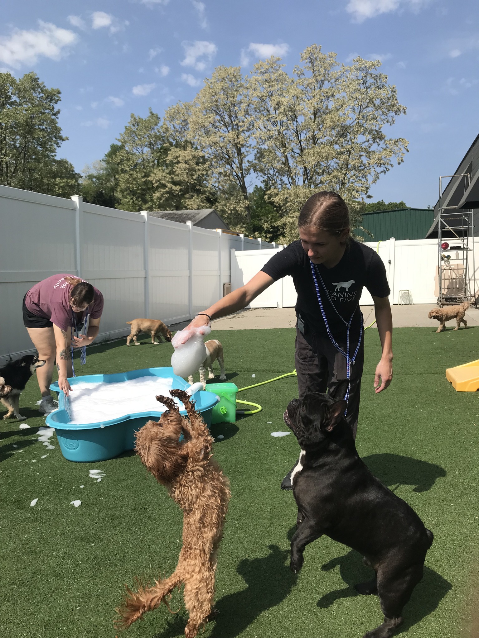 Detroit's #1 Boarding Facility