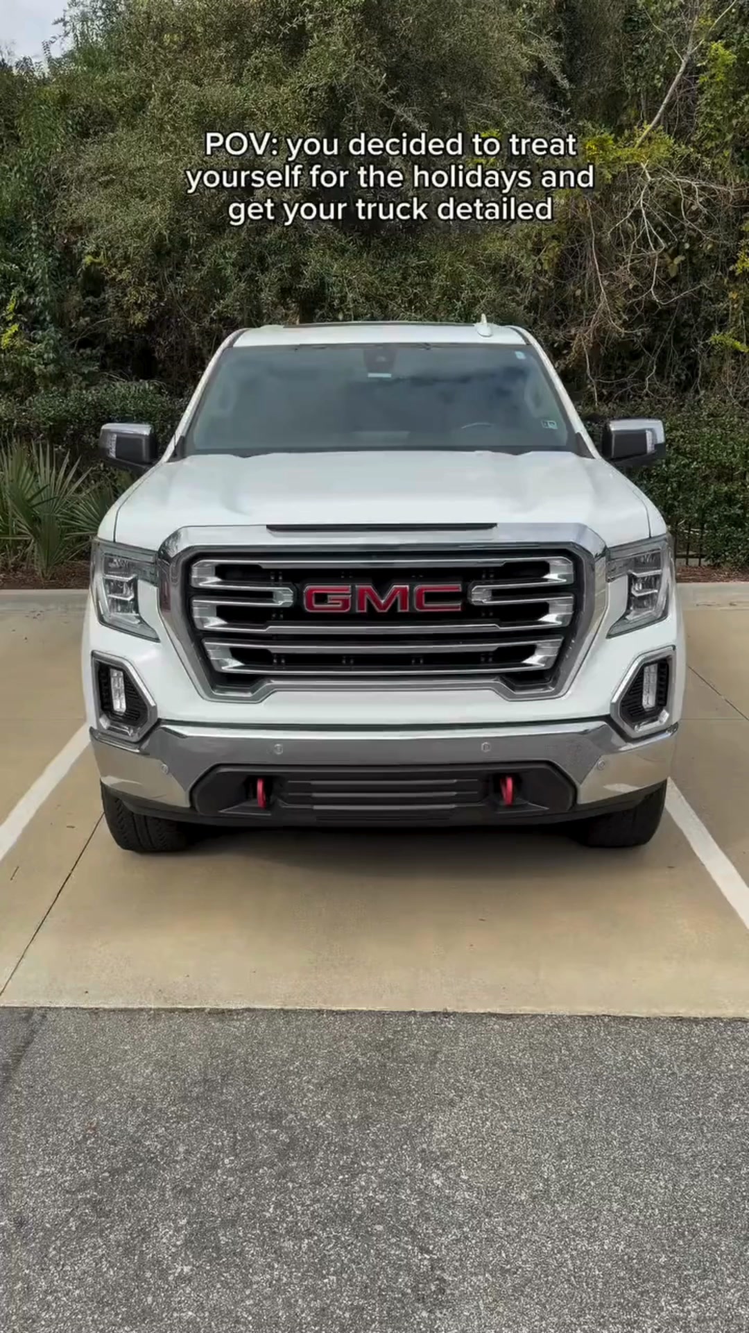 Daniel Island Mobile Car Wash Auto Detailing ad creative