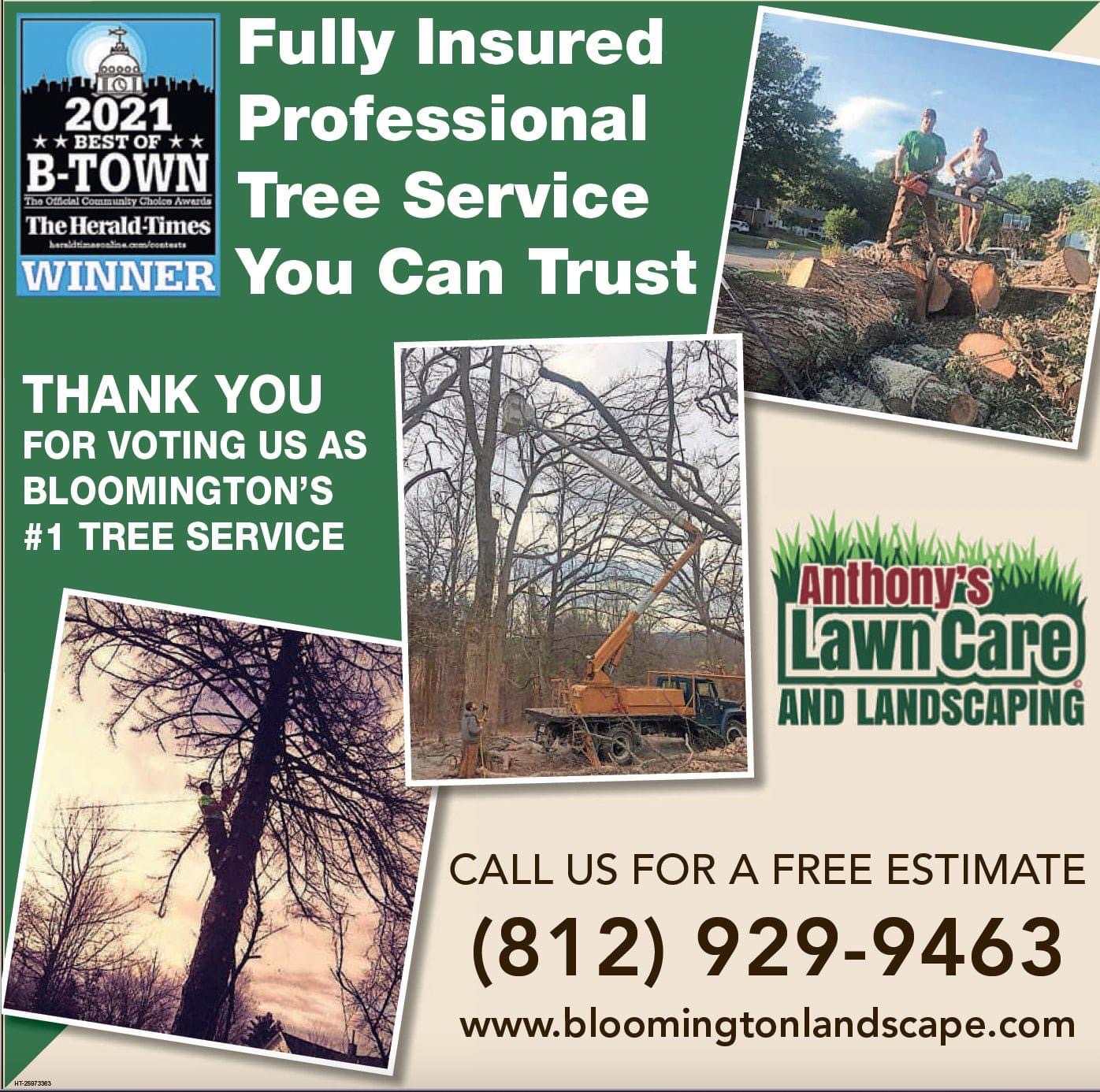 10% Off All Tree Services!!