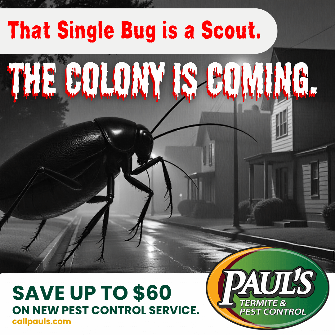 Fast Action Prevents Bigger Problems