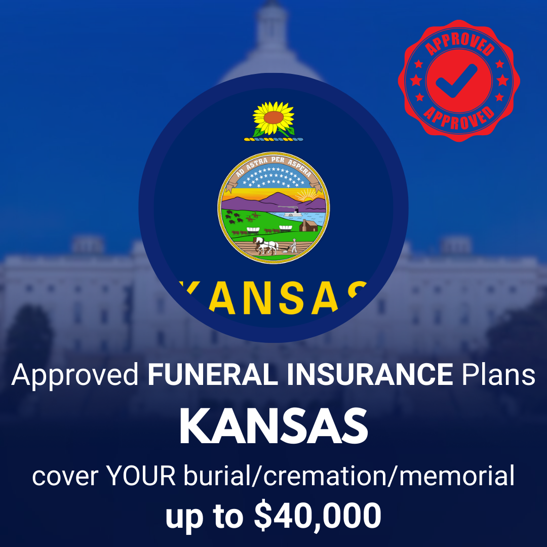 American Life Insurance Services Insurance Agent ad creative