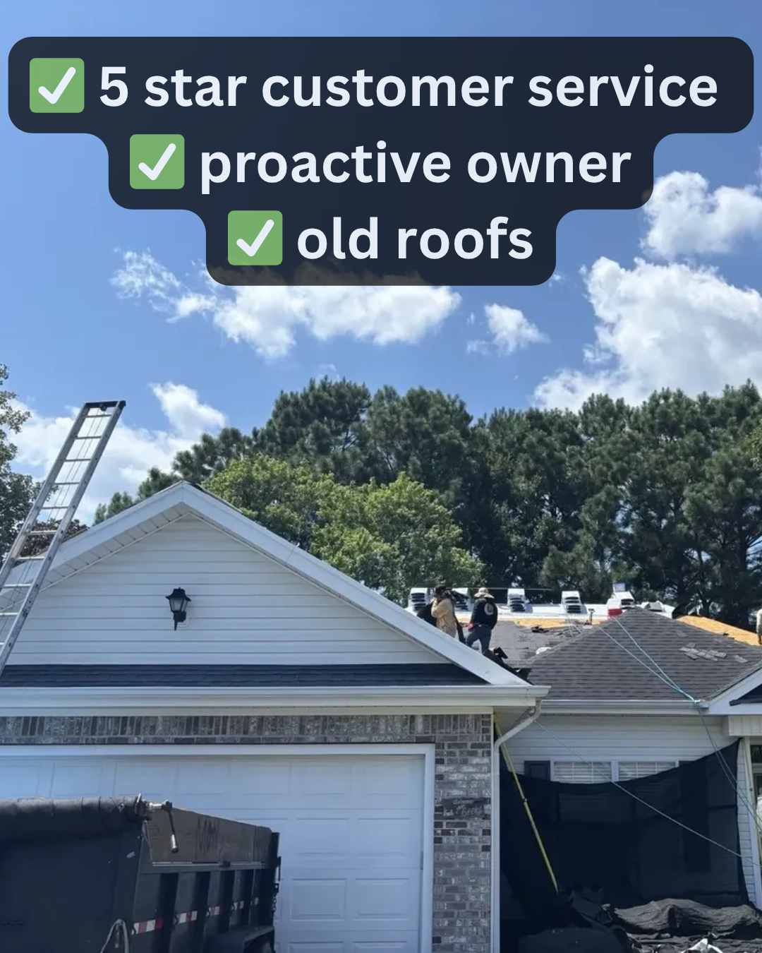 Palmetto Roofing and Solar Roofing ad creative