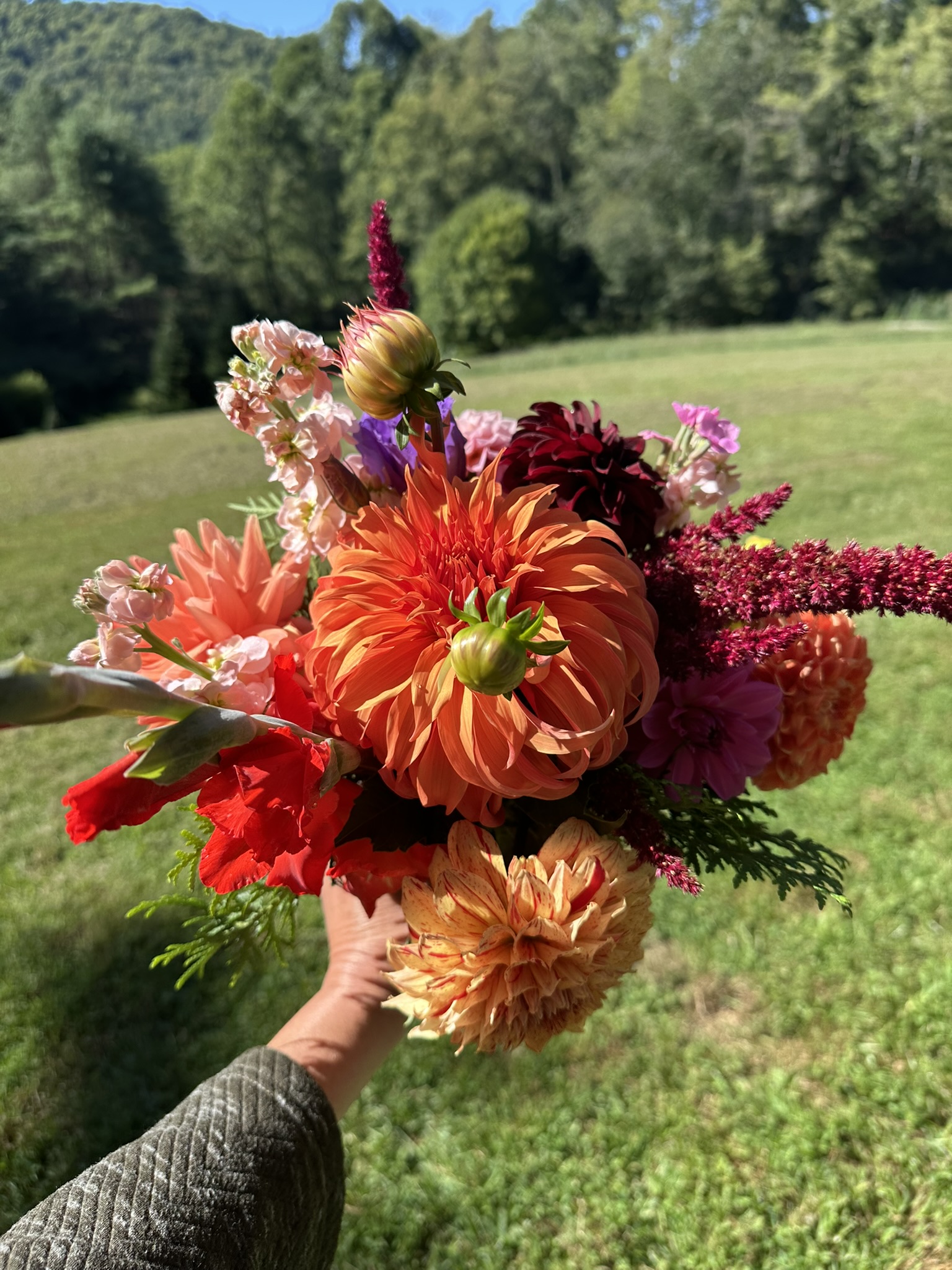 Local Fresh Flowers!