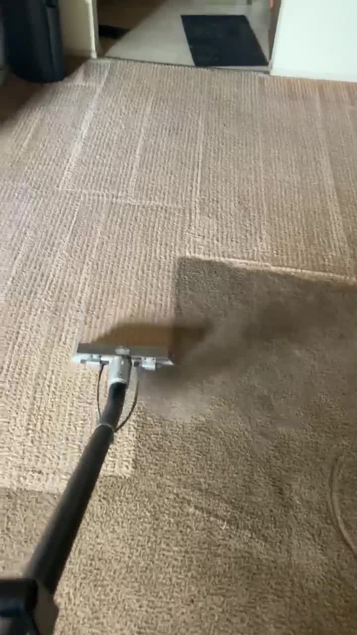 The Stain Buster Carpet Cleaning ad creative