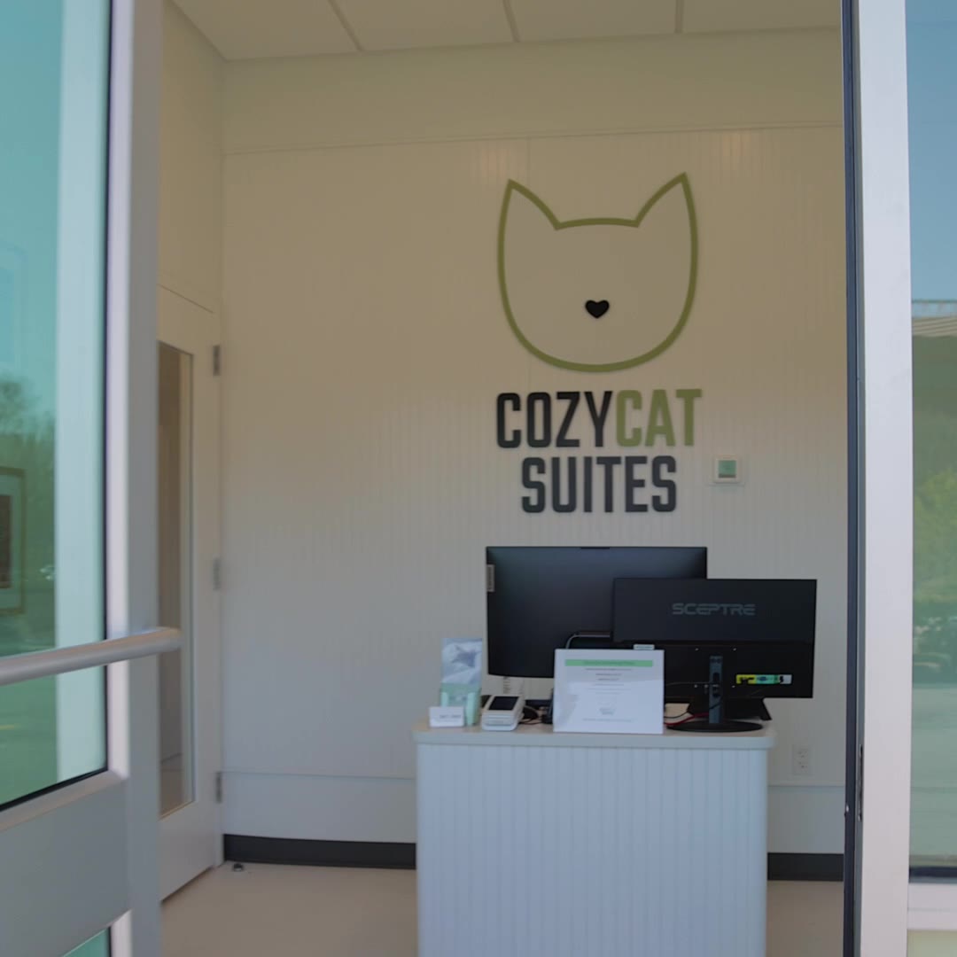 Cozy Cat Suites Pet Boarding ad creative