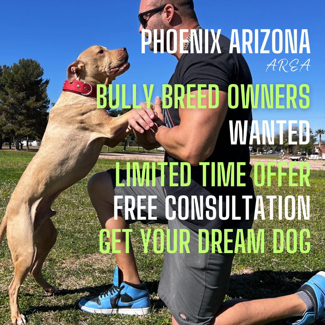 Claim Your Free Dog Training Evaluation