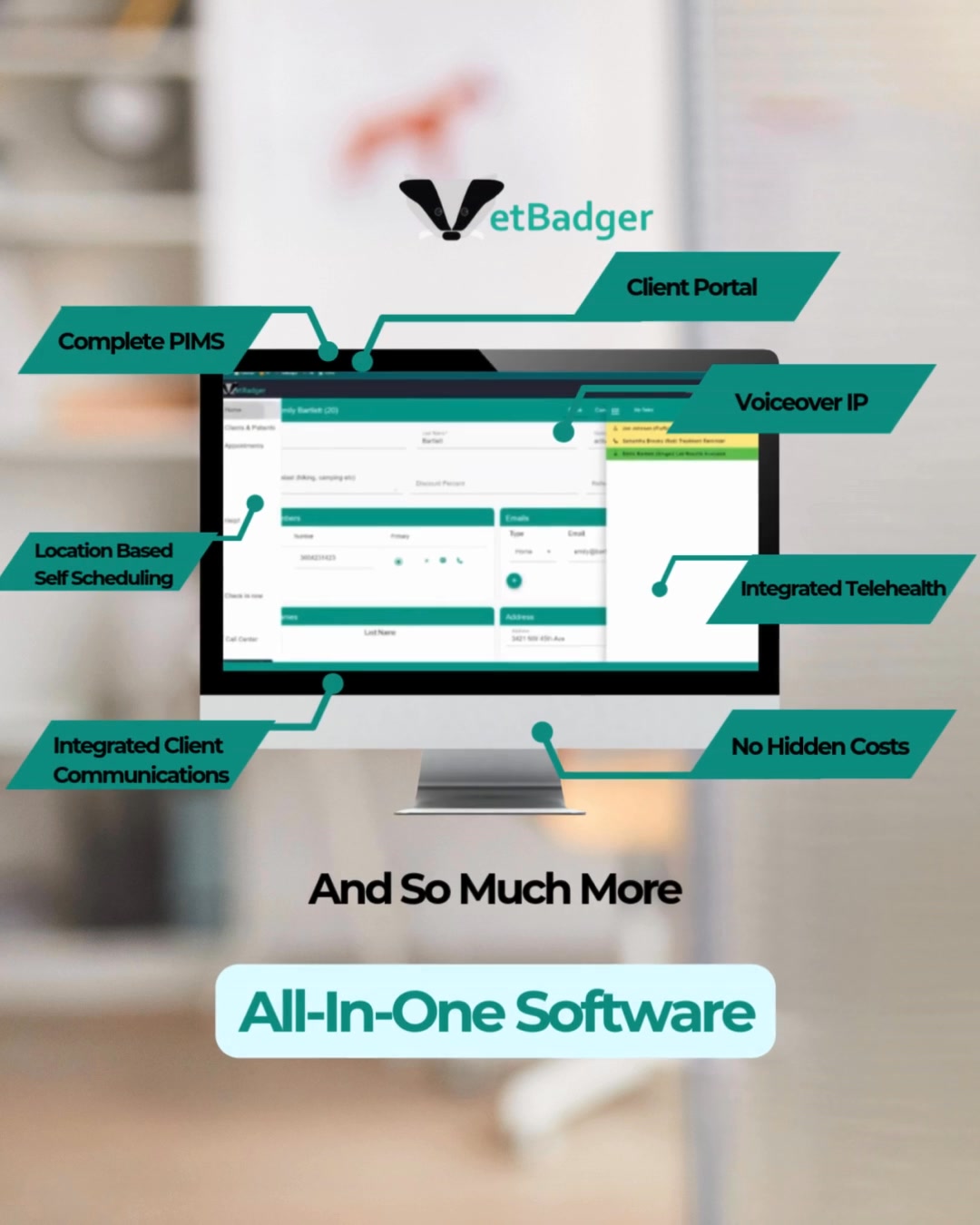 VetBadger Veterinary Software Software Dev Services ad creative