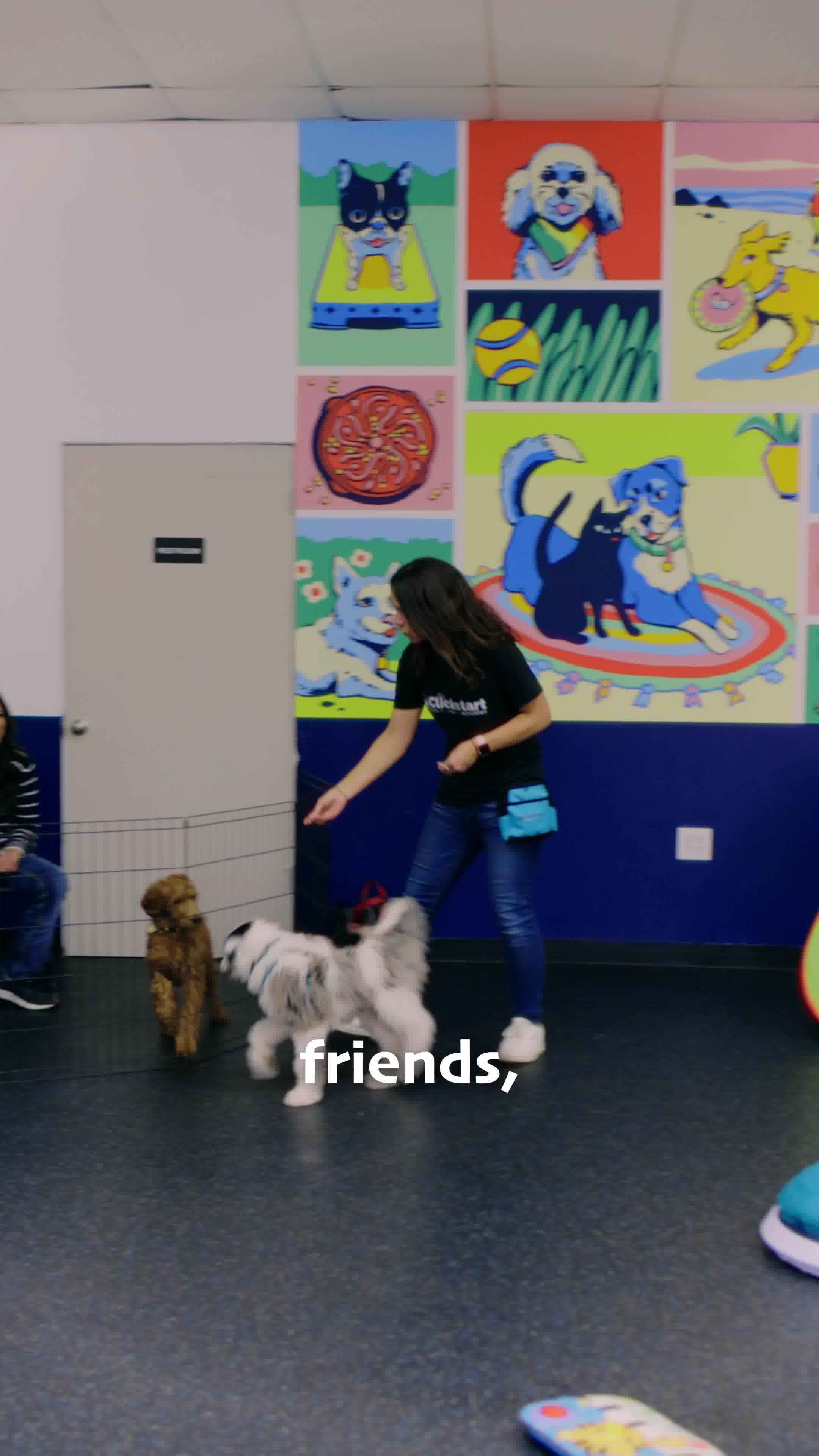 Clickstart Dog Training Academy Puppy Kindergarten