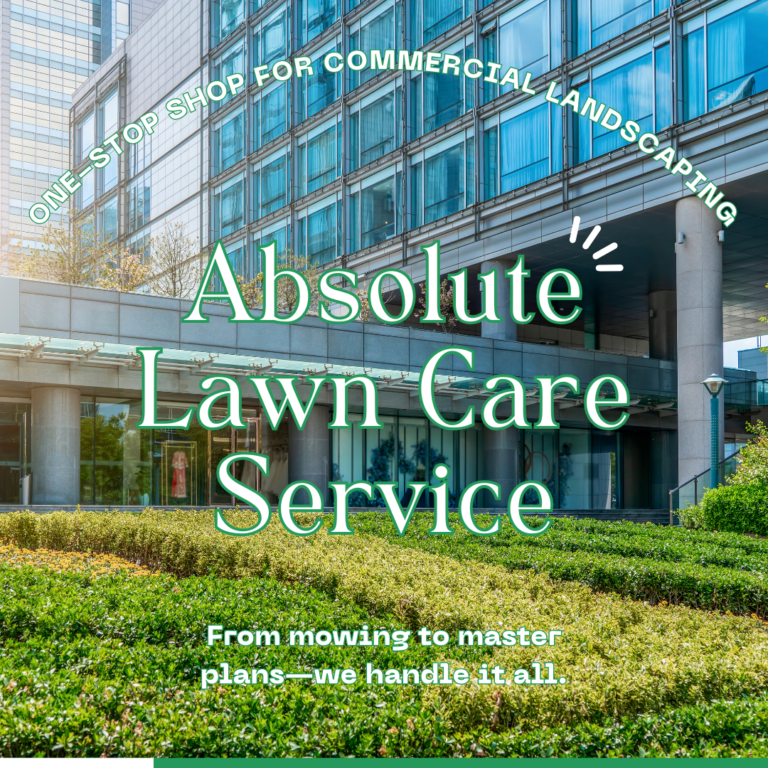 Absolute Lawn Care Service Landscaping ad creative