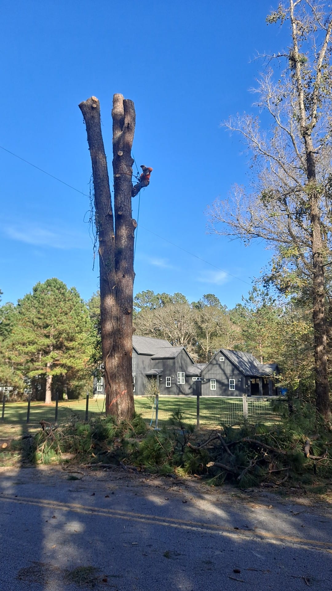 J And J Custom Tree Service