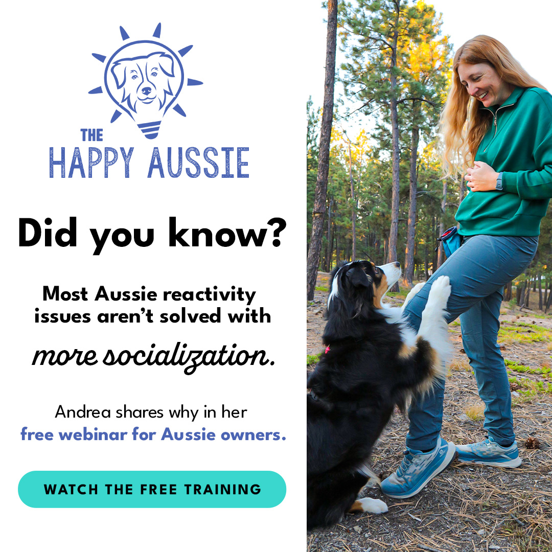 Tame Your Aussie - Free Training!