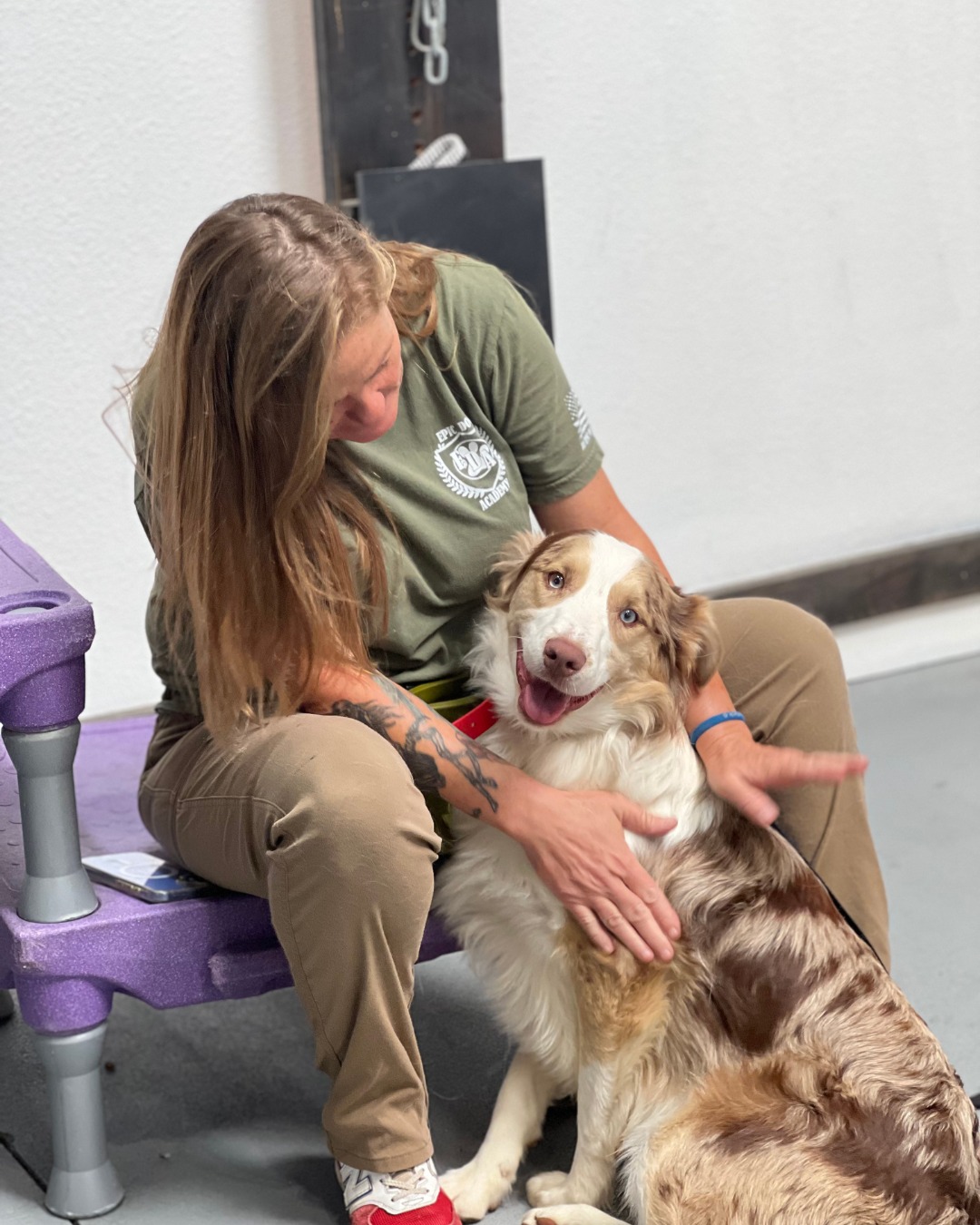 All-in-One Dog Care + FREE In-Home Evaluation!