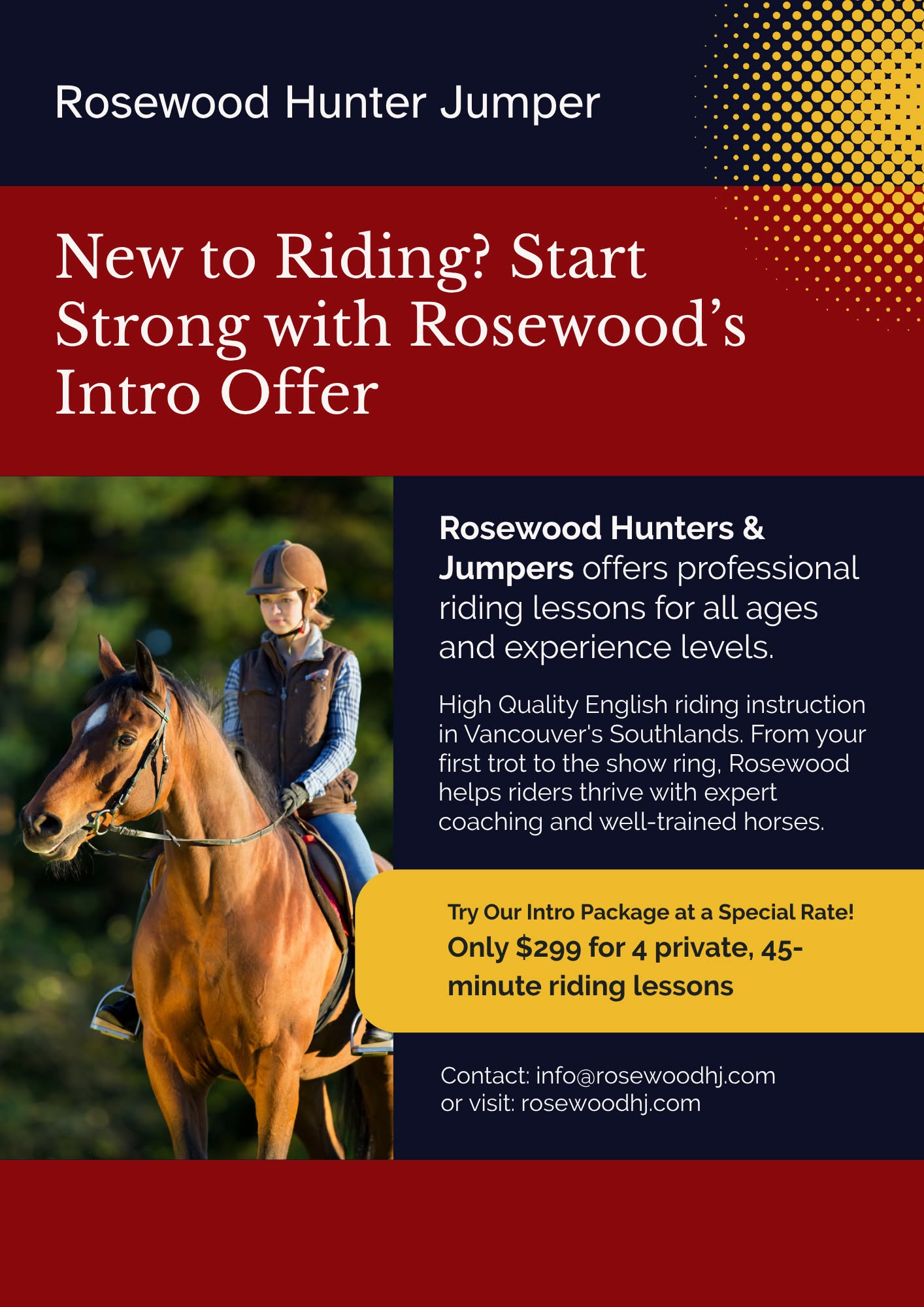 Horseback Riding Lessons, Birthday Parties, Riding Camps and more!