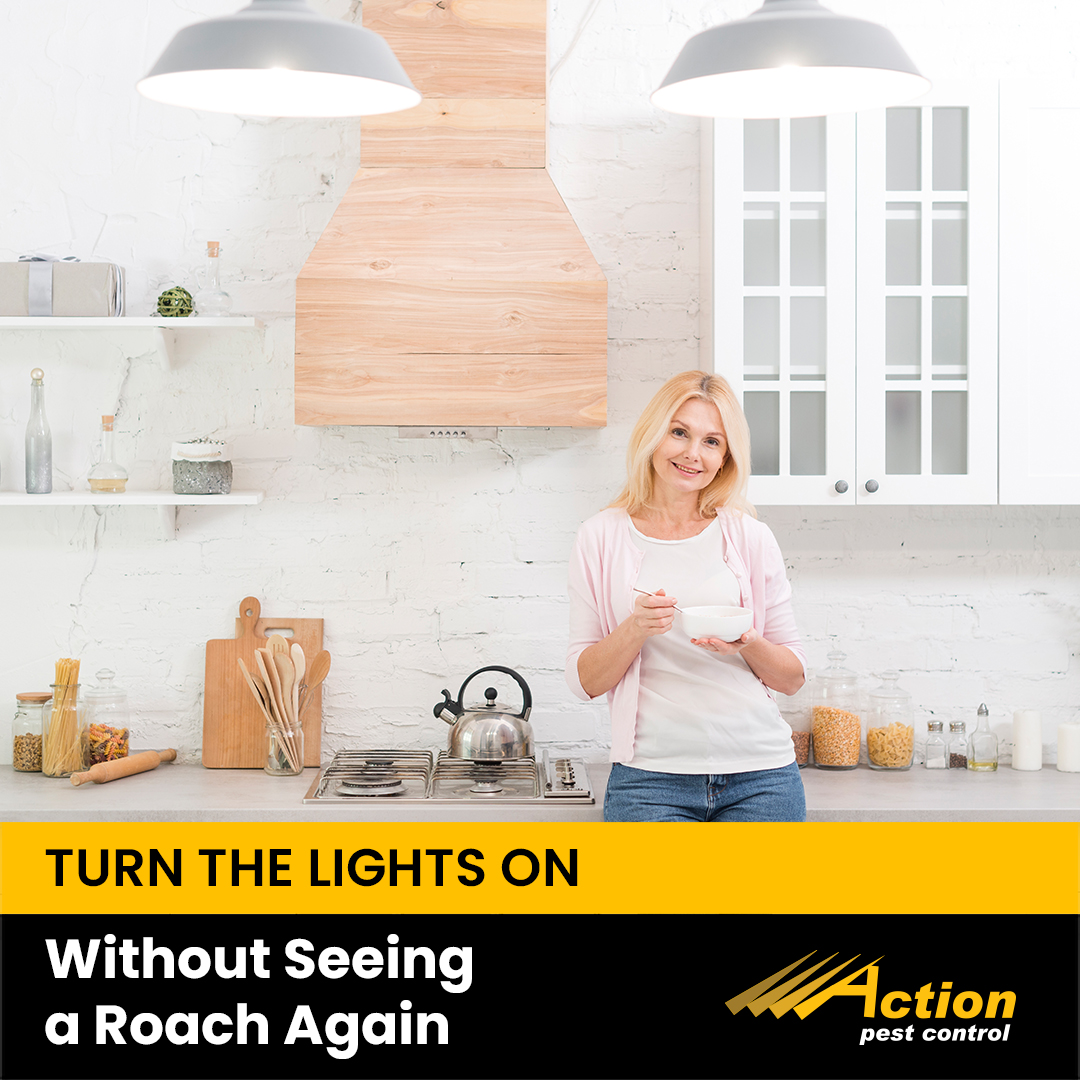 Turn the Lights On Without Seeing a Roach Again.
