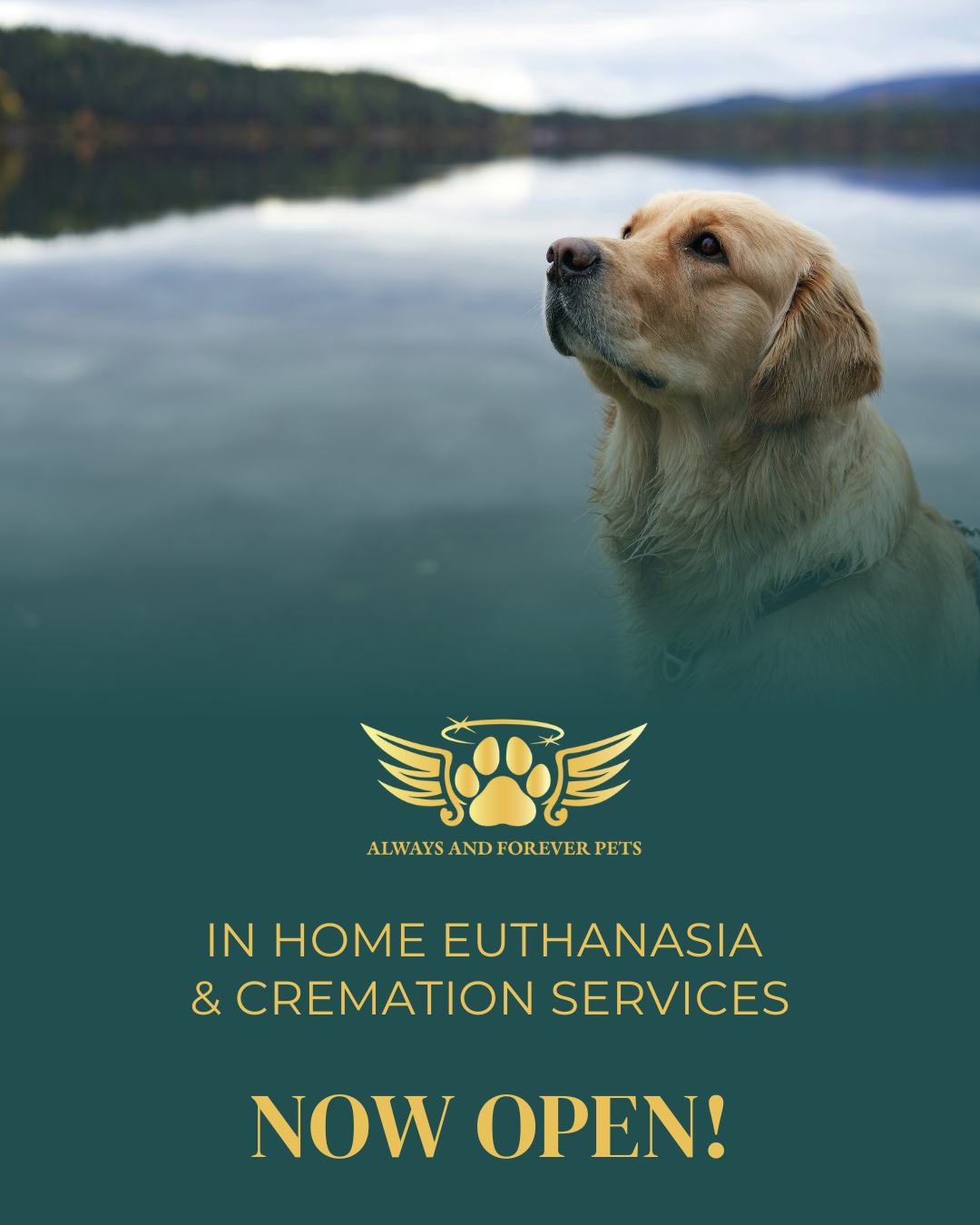 Servicing New Braunfels & surrounding cities